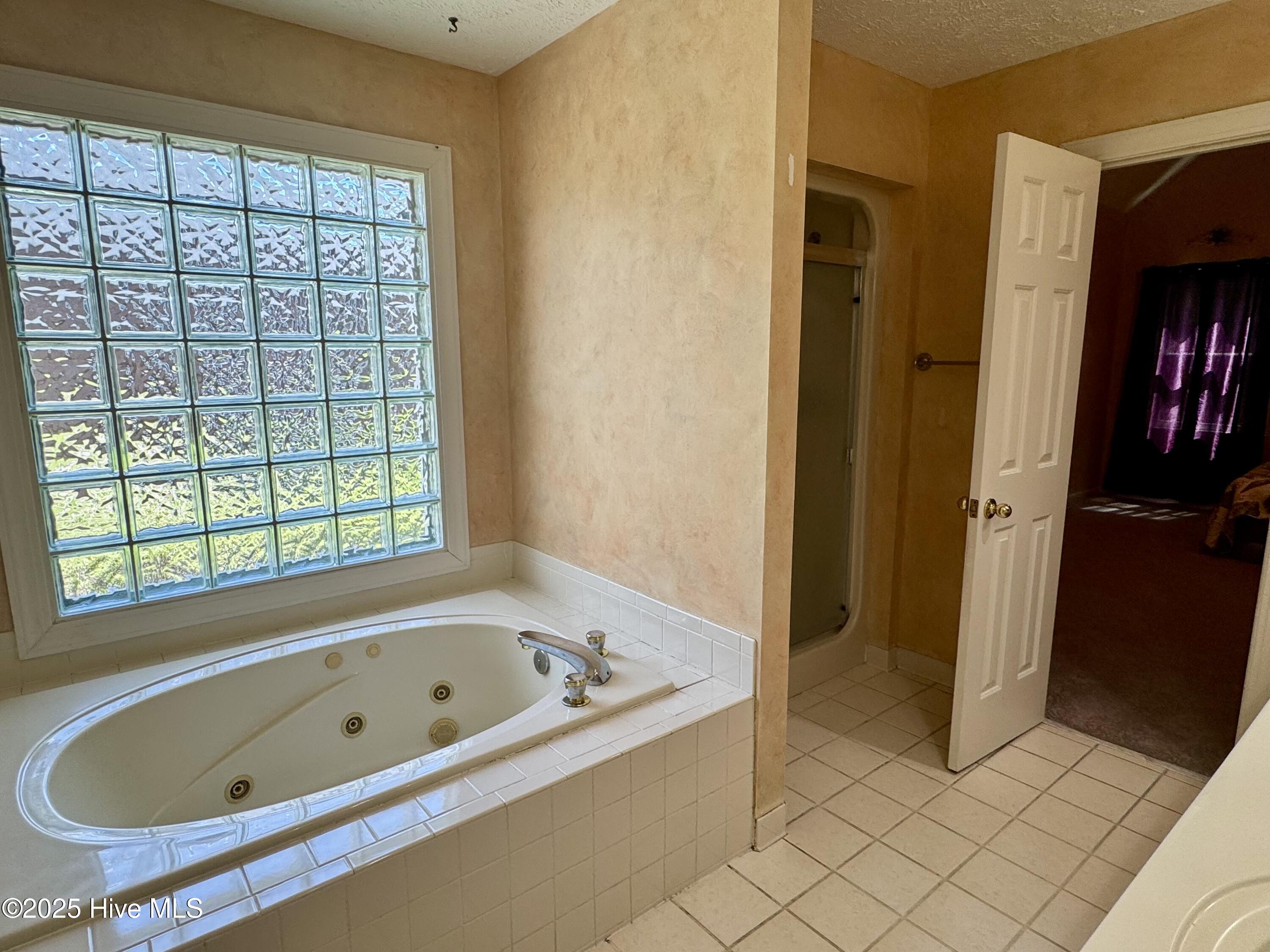 100521106 | Photo 15