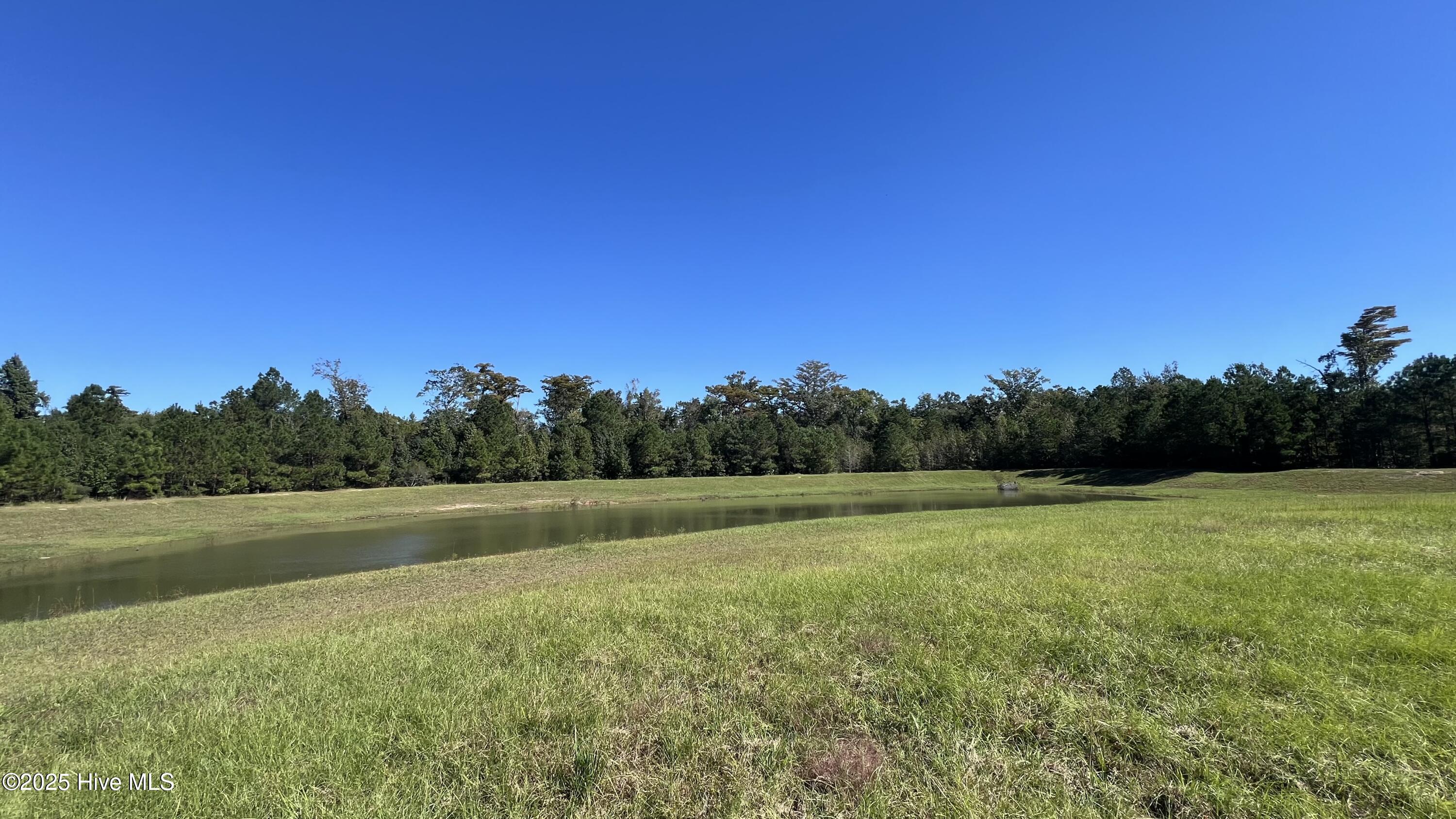 100538971 | Photo 11