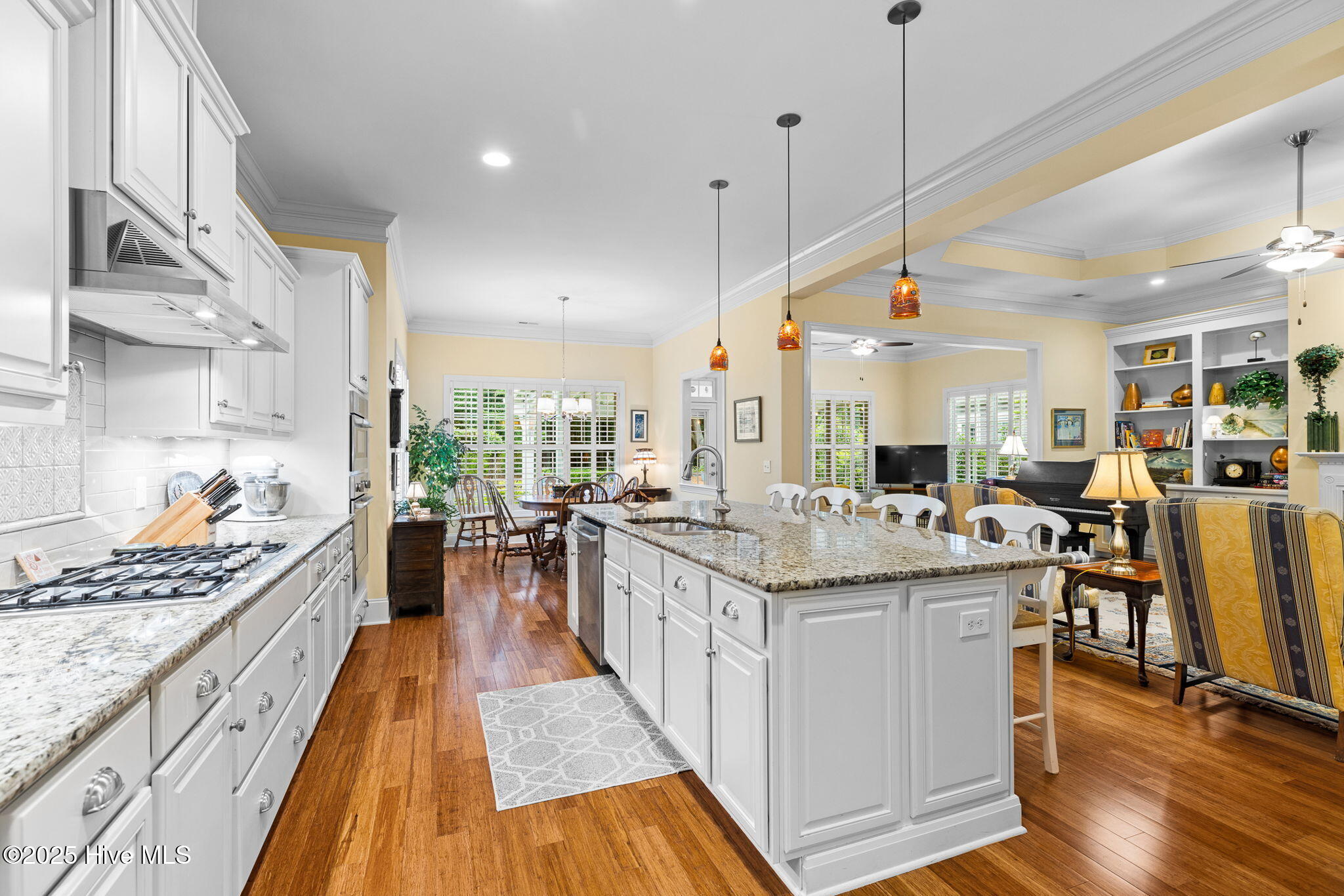 100508421 | Photo 10