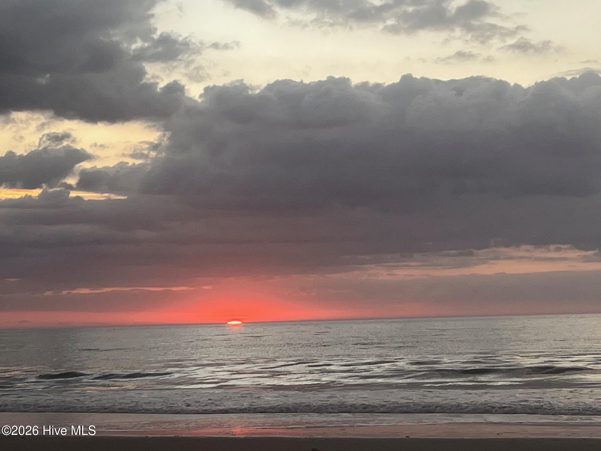 100558069 | Photo 15