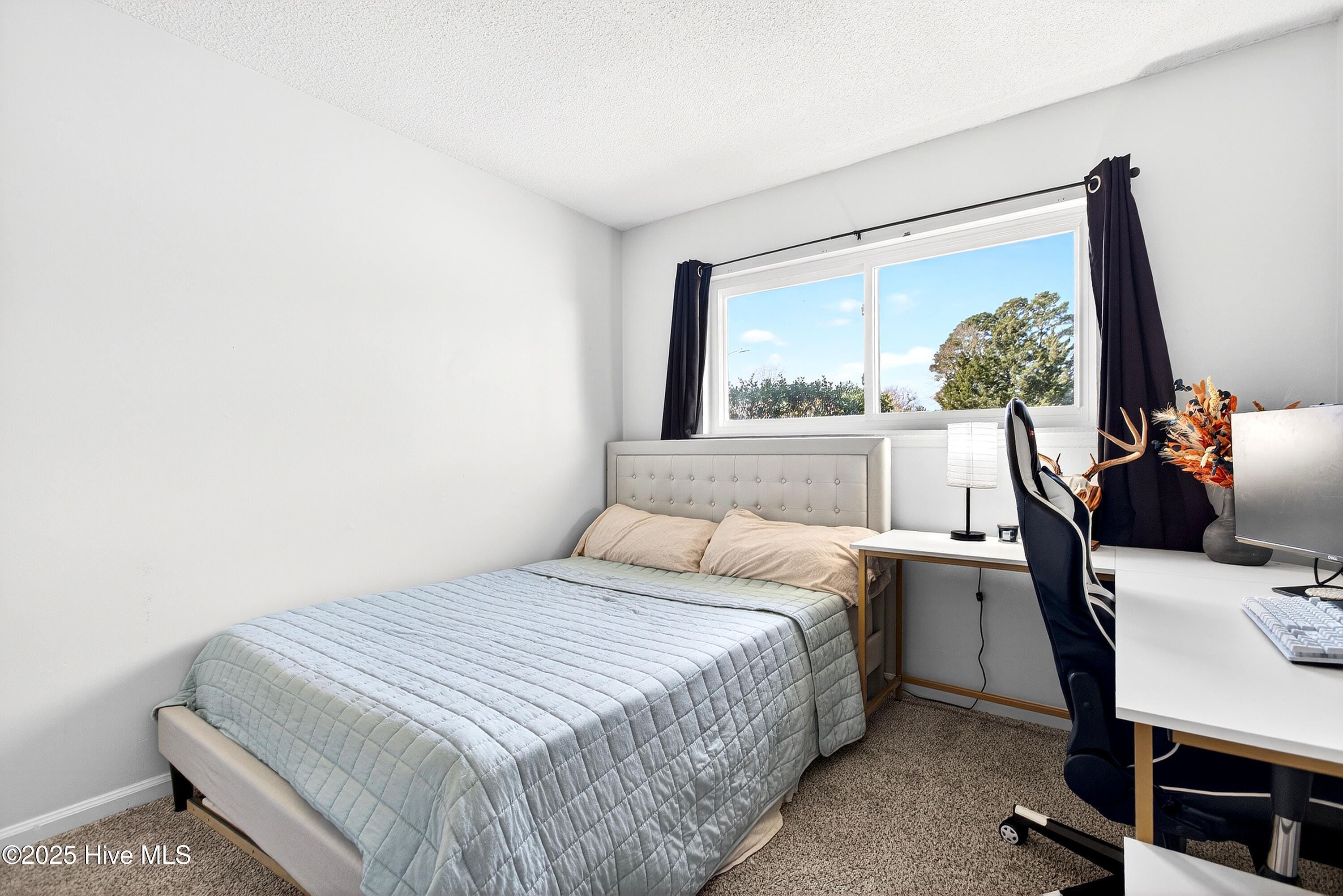 100545052 | Photo 20