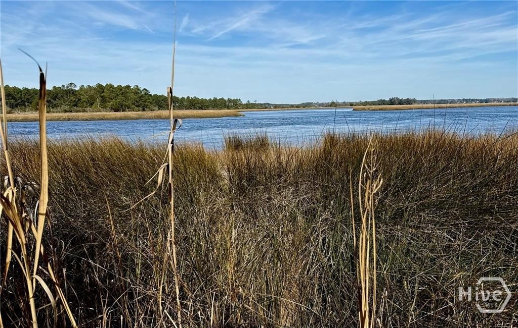 Lot 58 Jerico Marsh, Midway, Georgia, 0 ,Land,For sale,Jerico Marsh,SA359541 Lot 58 Jerico Marsh, Midway, Georgia, 0 ,Land,For sale,Jerico Marsh,SA359541