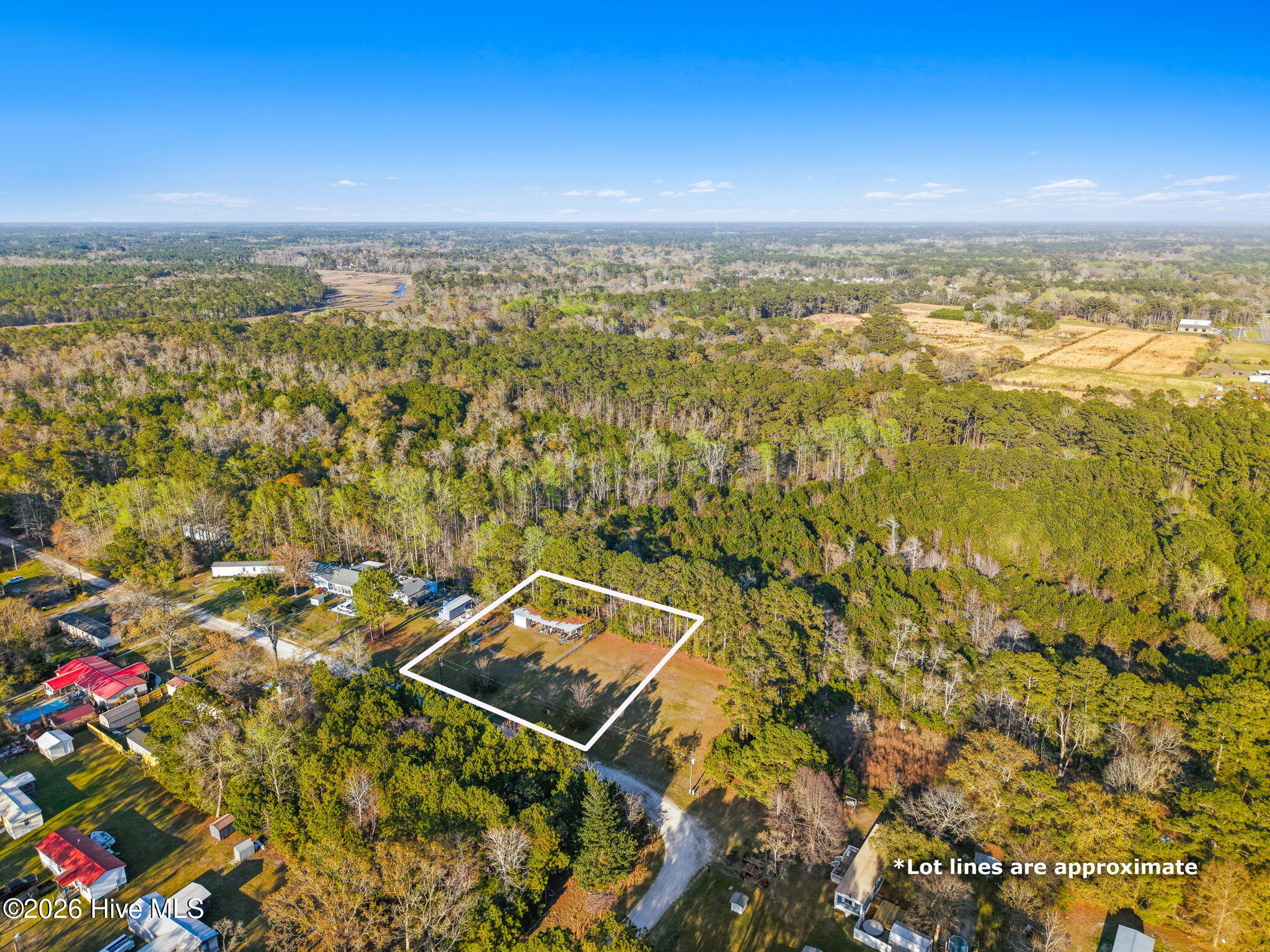 100565329 | Photo 13