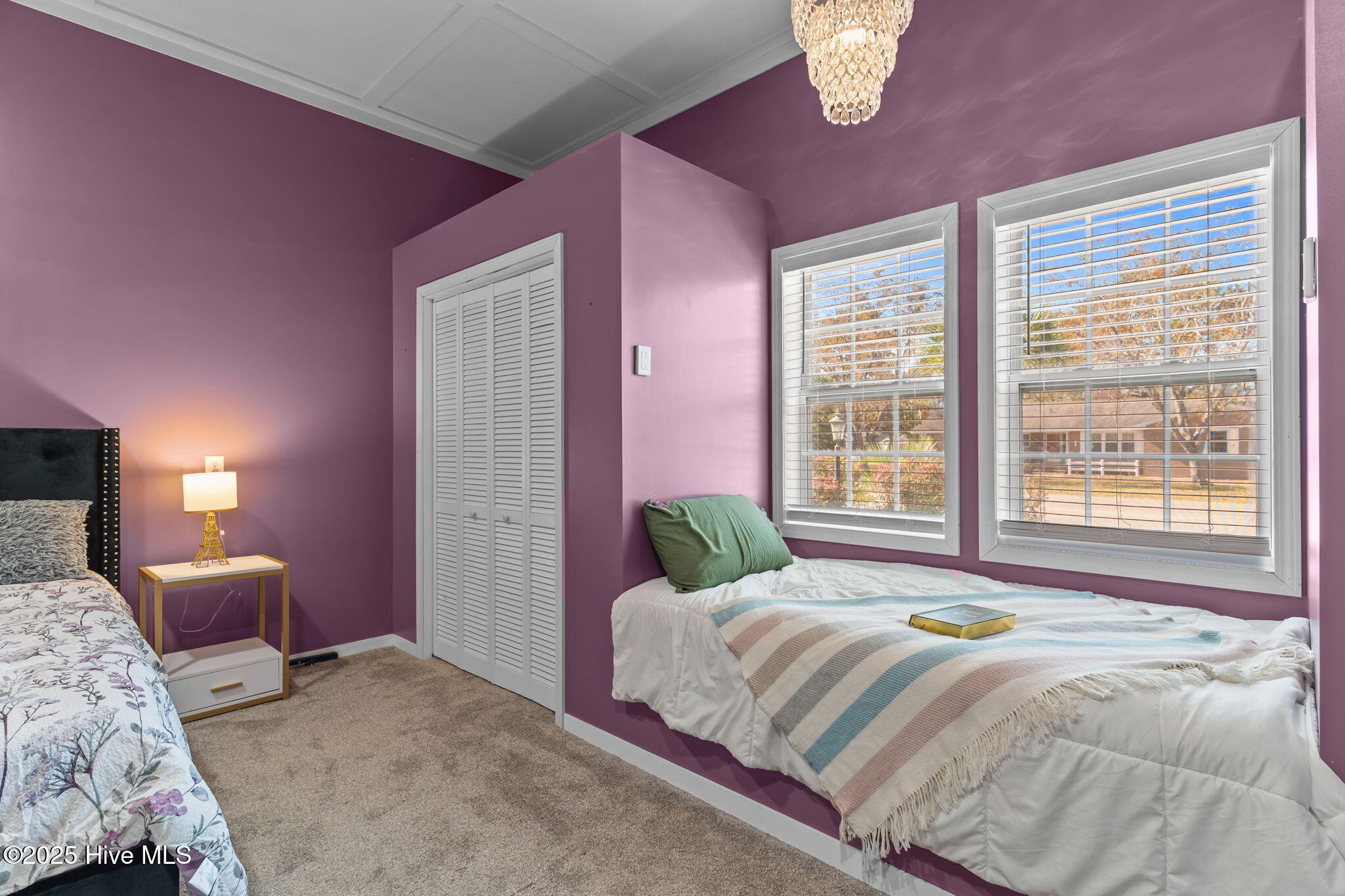 100540353 | Photo 23