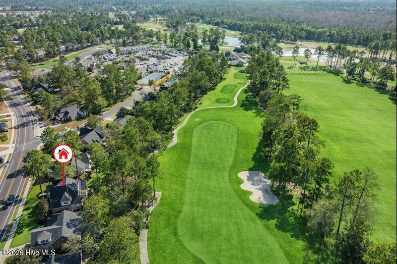 100548095 | Photo 63