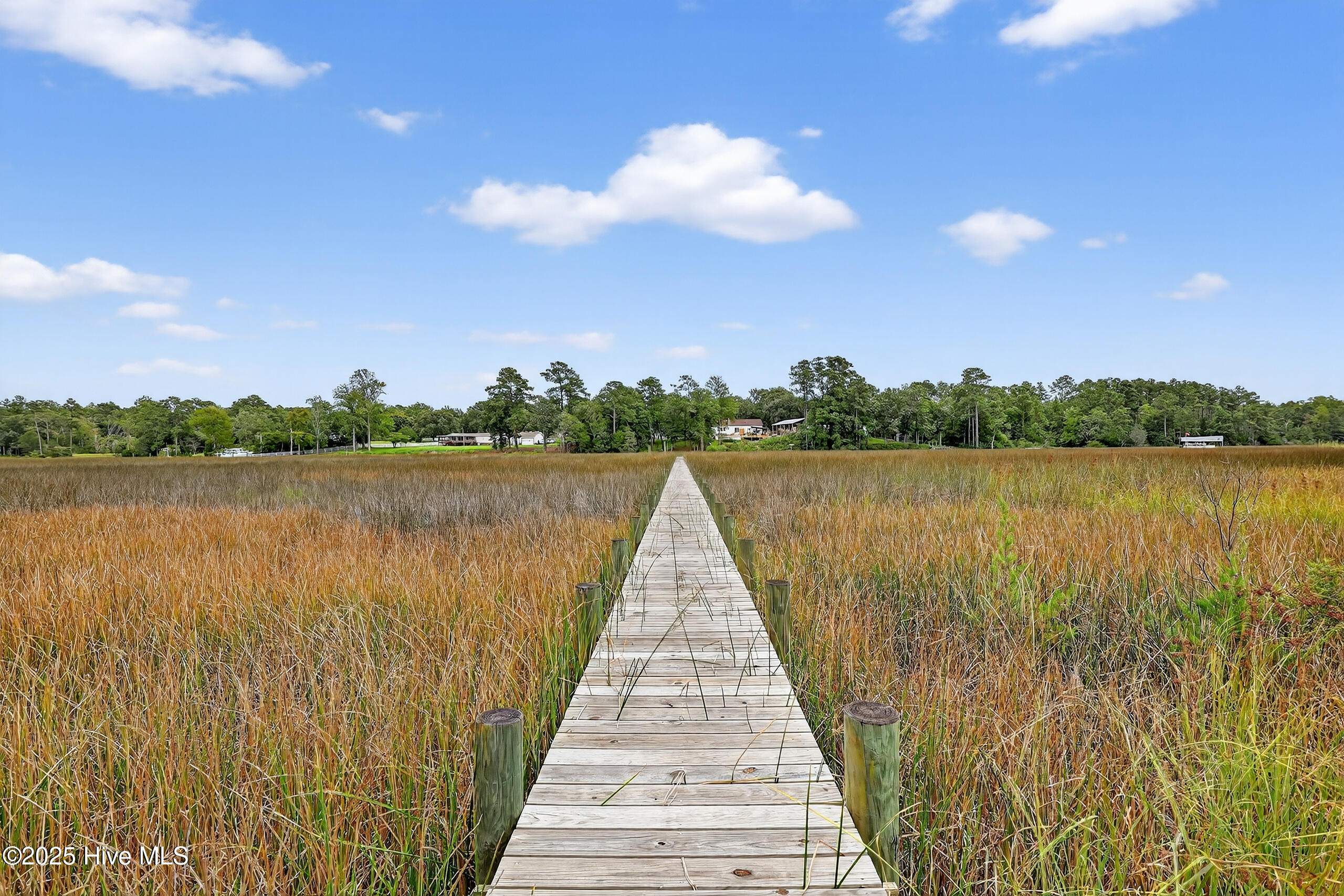 100527488 | Photo 64