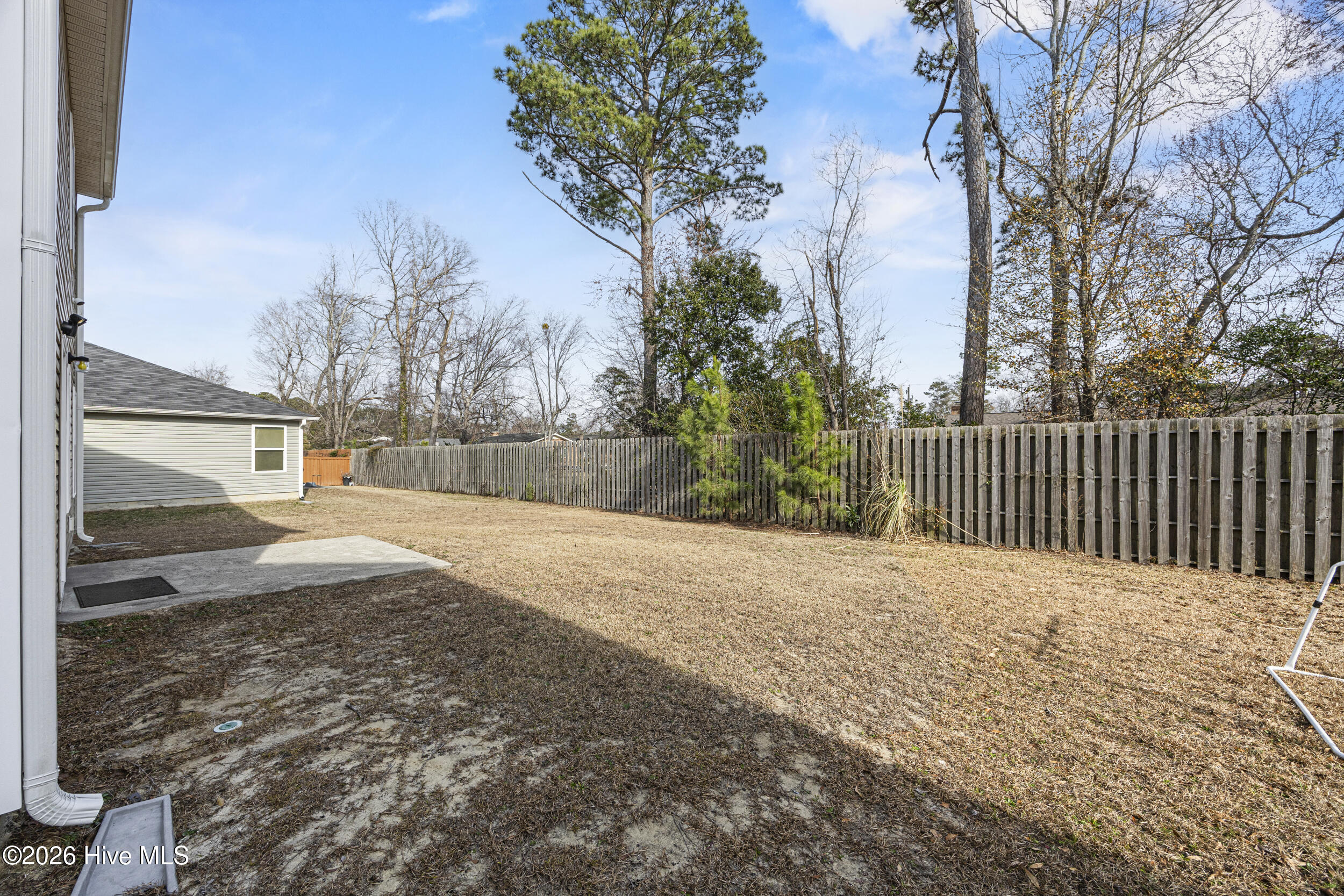 100557017 | Photo 47