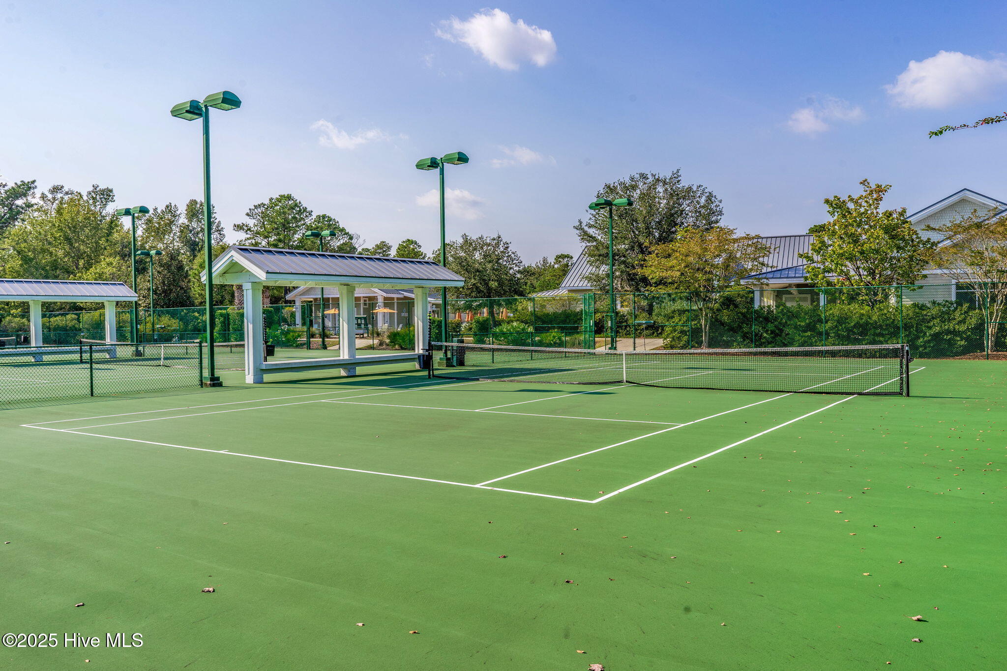 100536953 | Photo 86