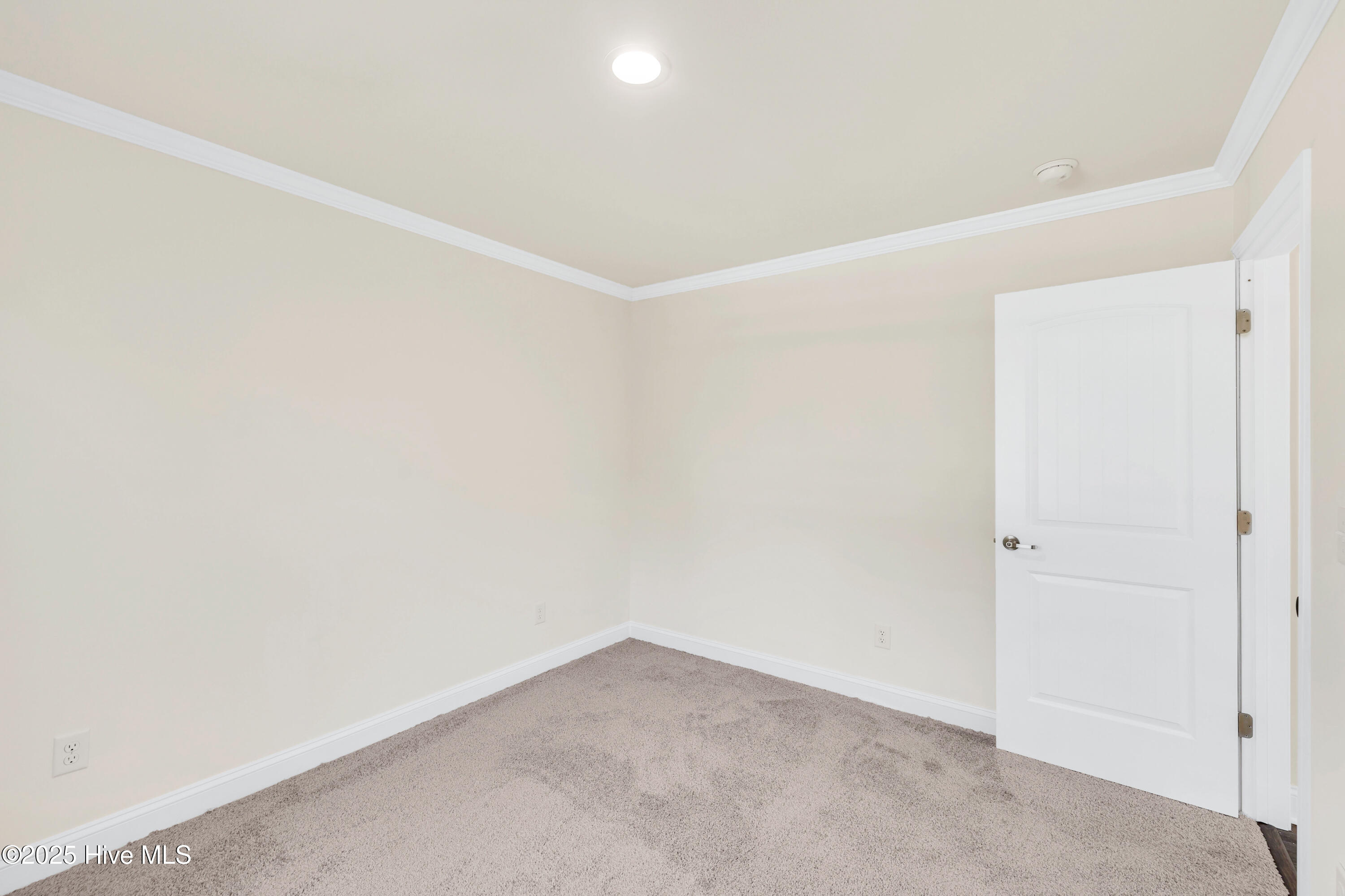 100543416 | Photo 16