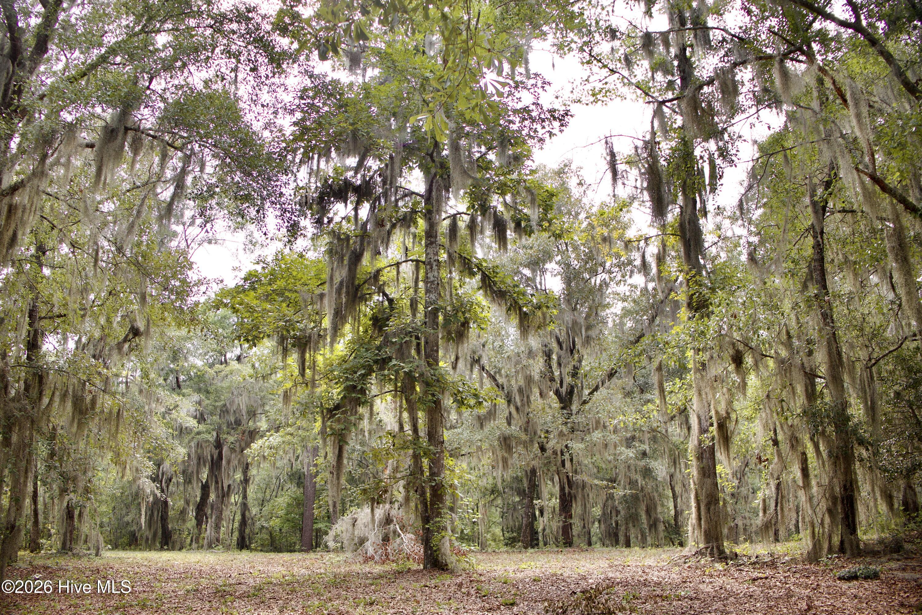 385 Sand Ridge Road,New Bern