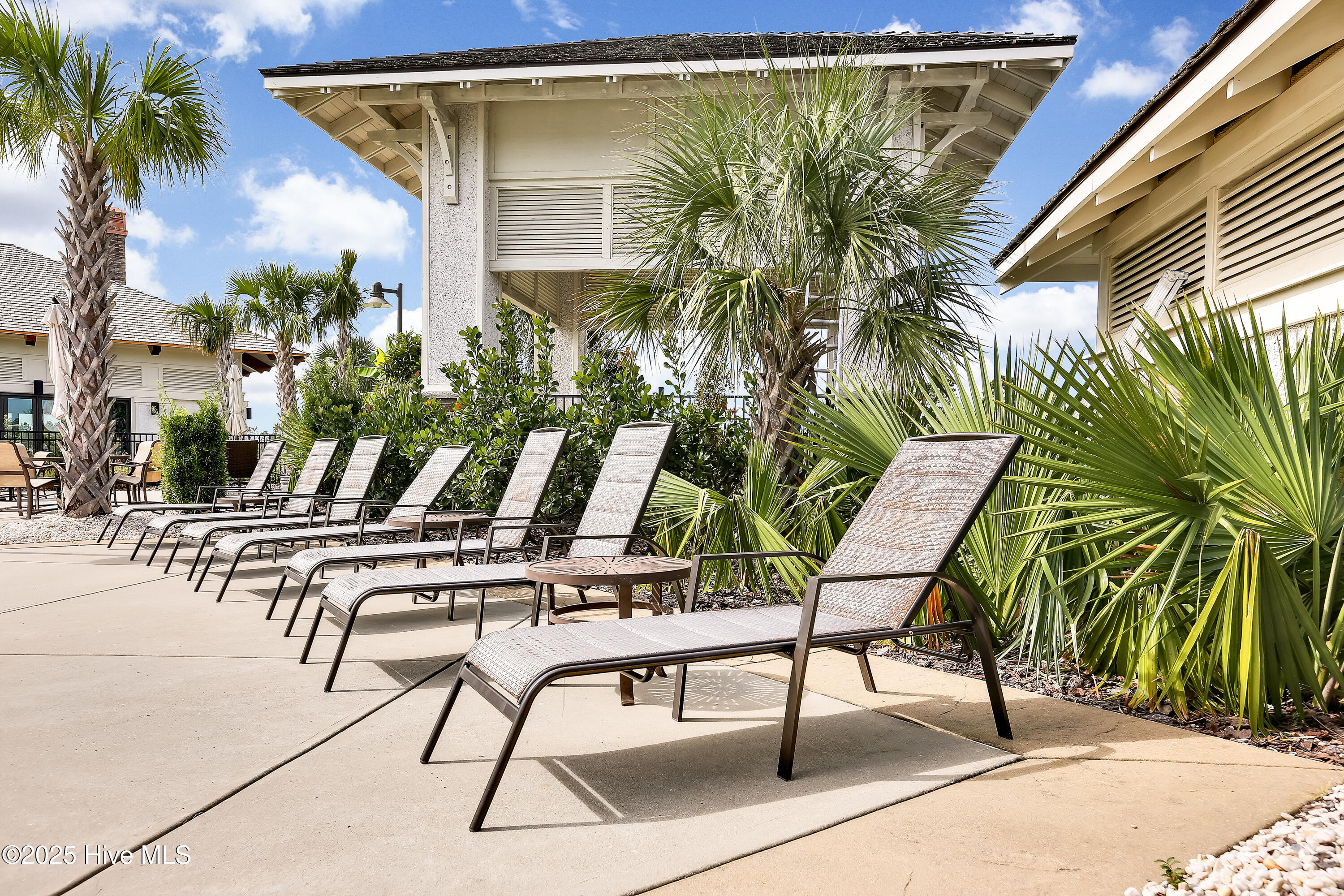 100557169 | Photo 70