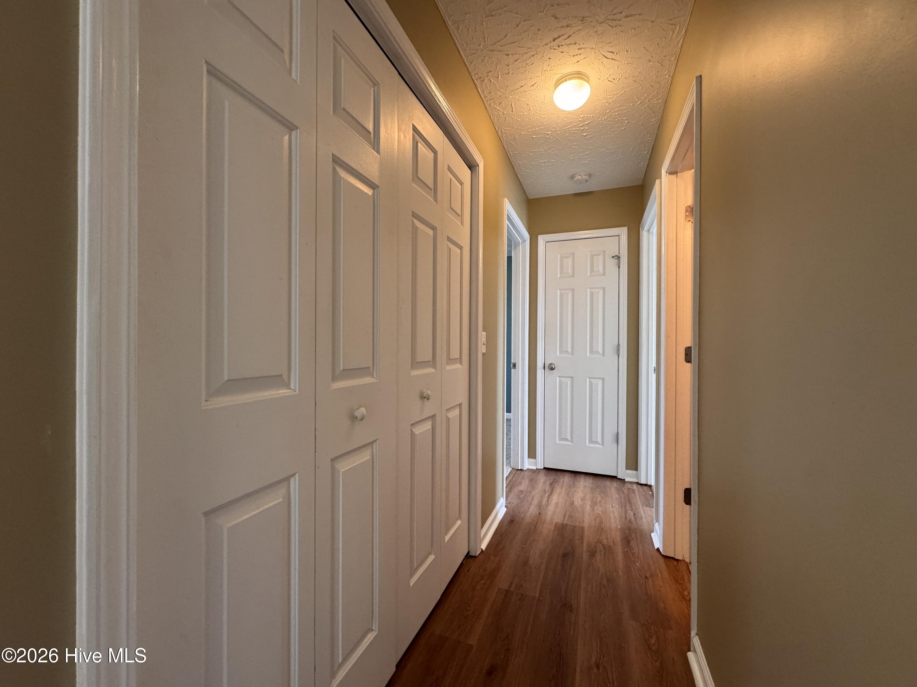 100556334 | Photo 13