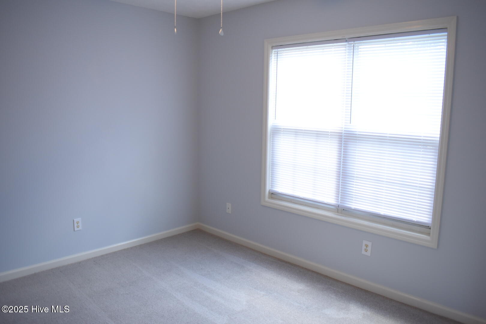 100538470 | Photo 32