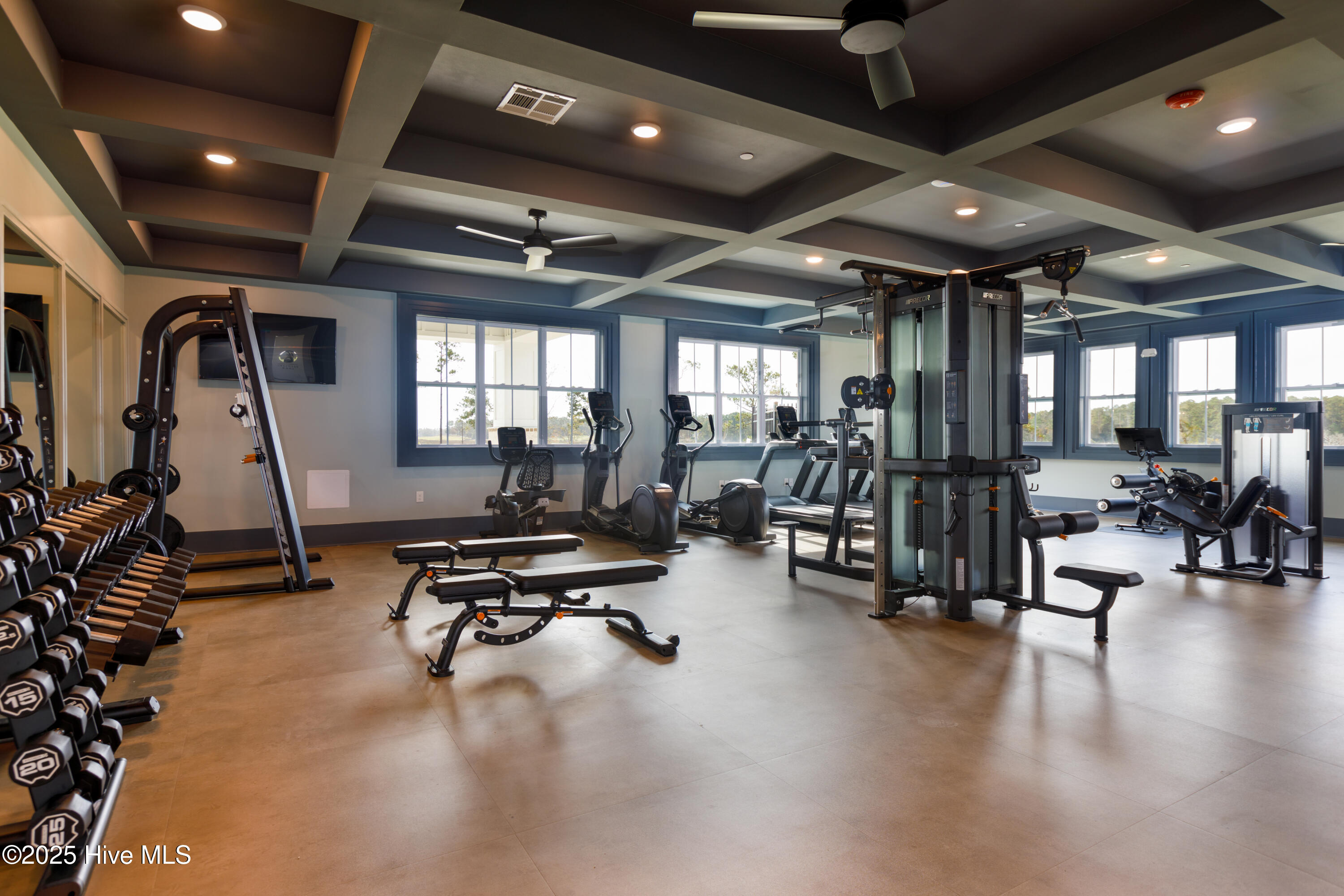 100539900 | Photo 11