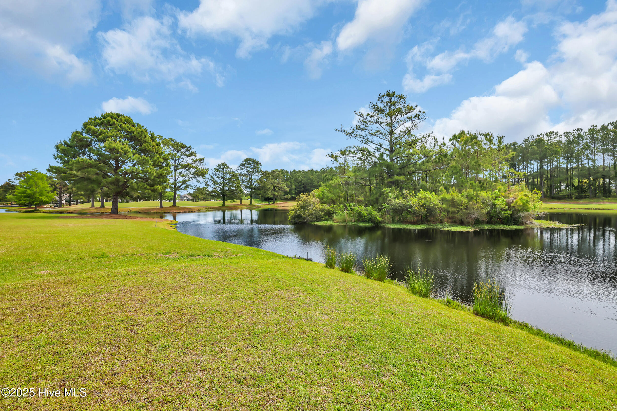 100502745 | Photo 47