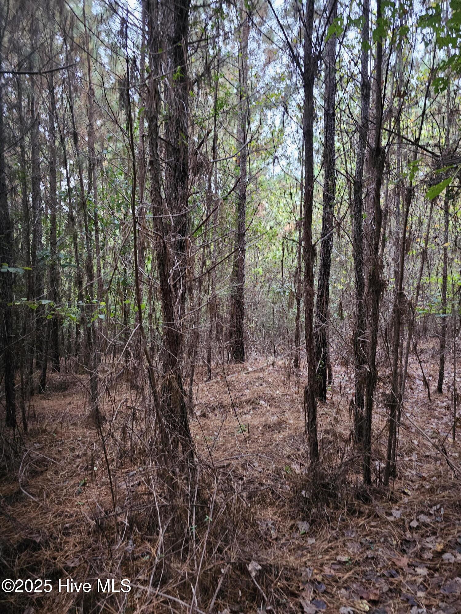 0 Carbonton Road, Sanford, NC, 27330