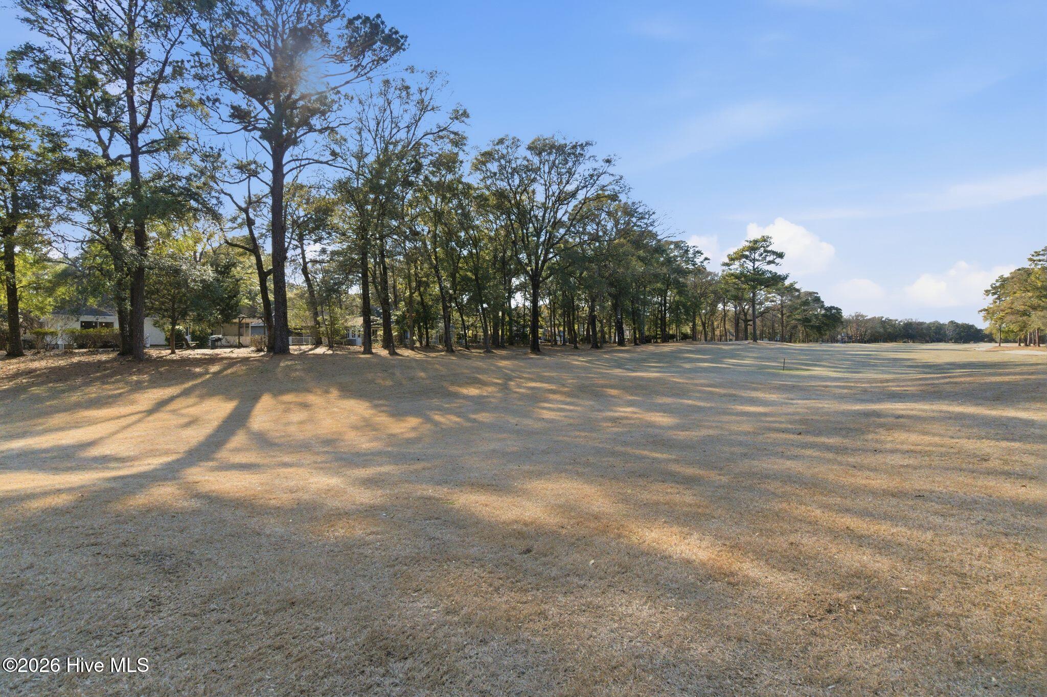 100555481 | Photo 62