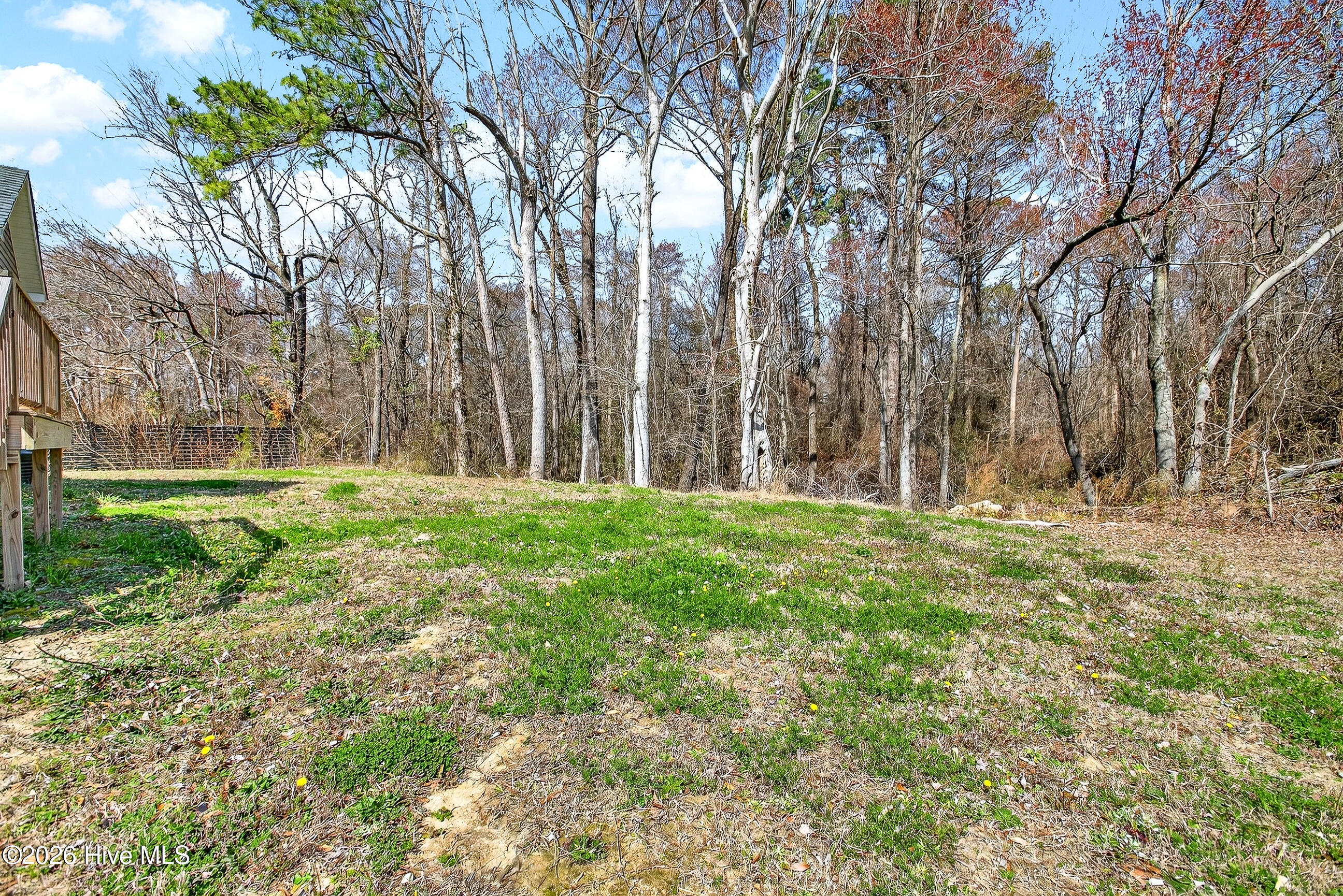 100558992 | Photo 25