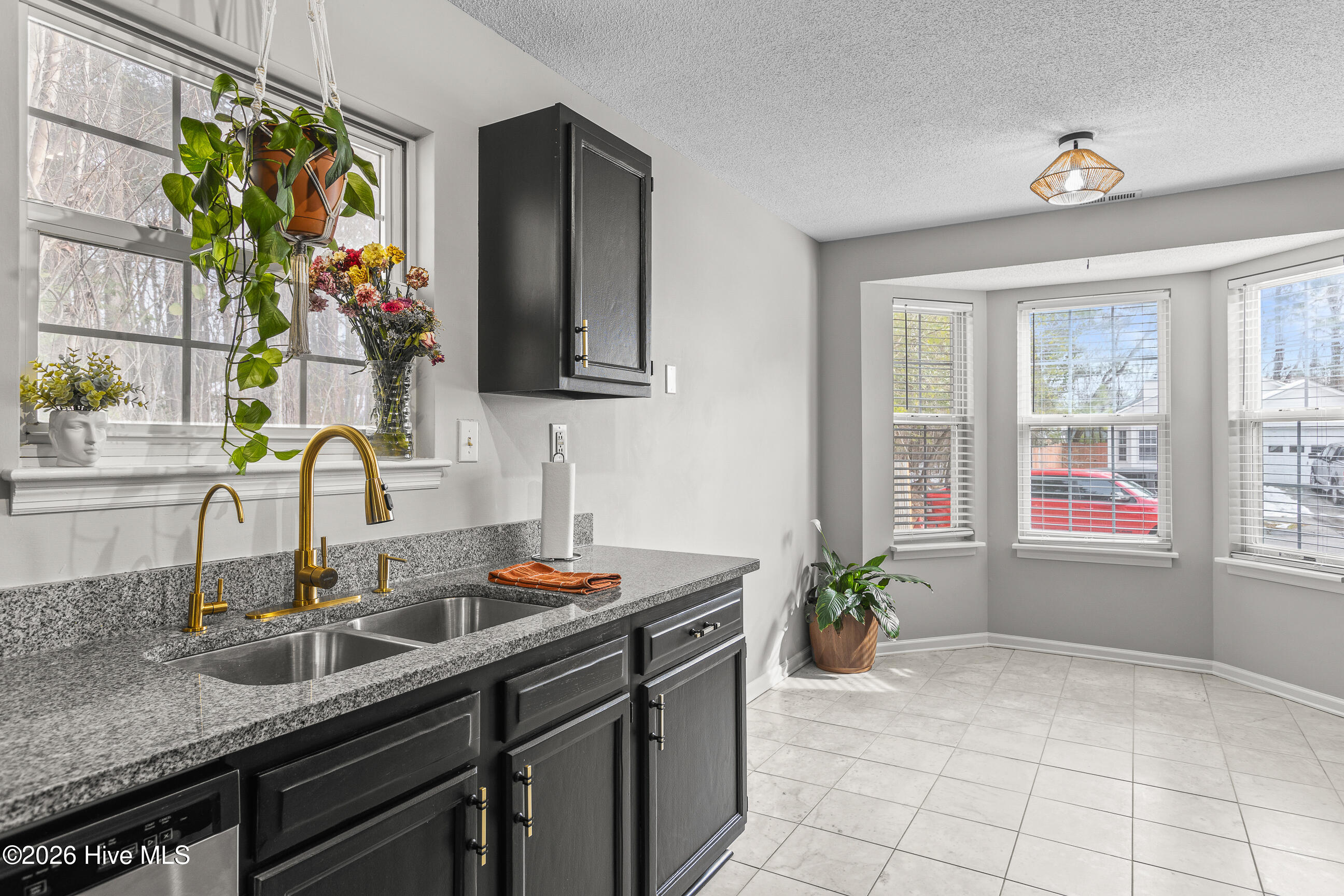 100553126 | Photo 12