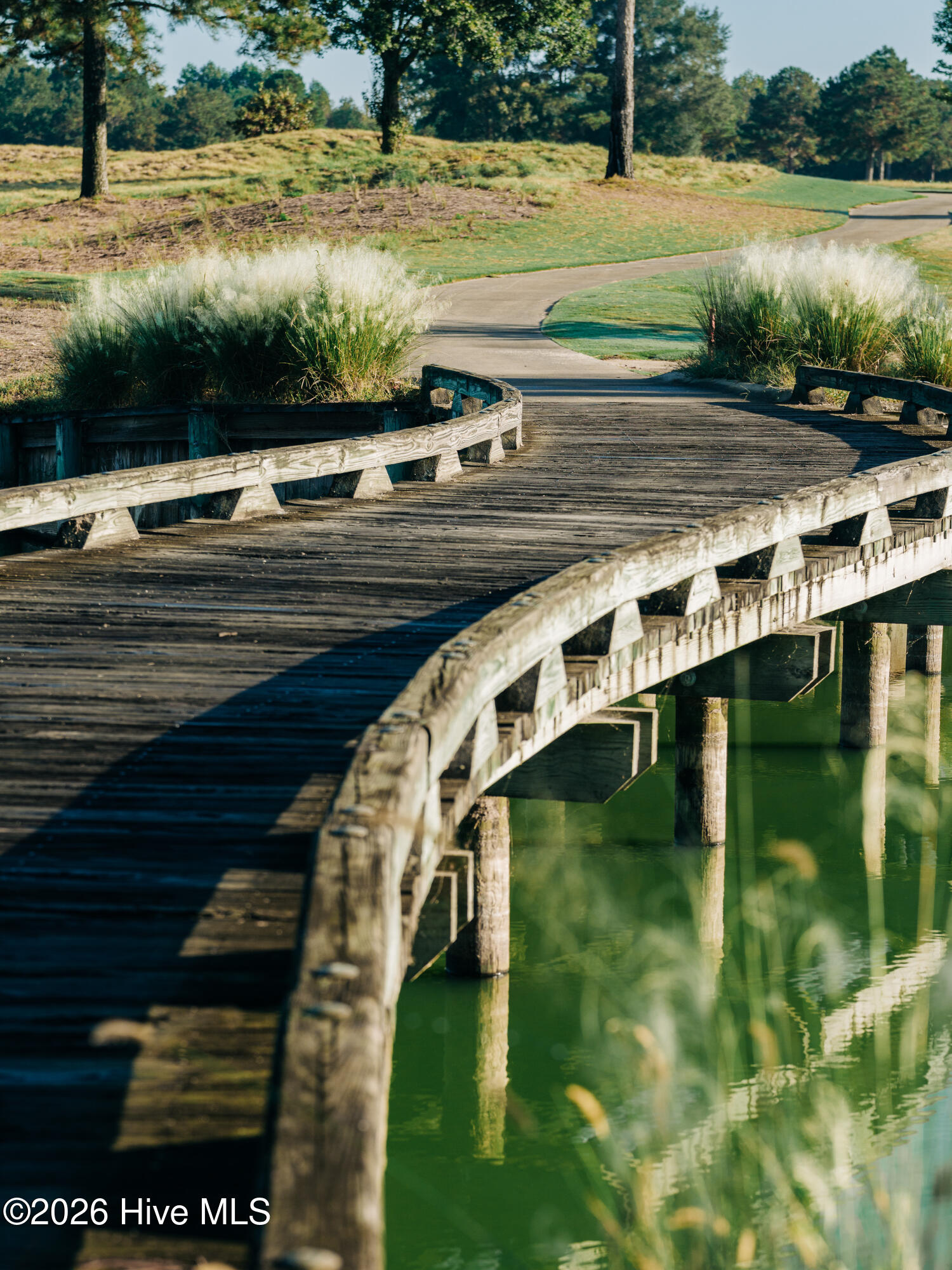 16 Pinewood Cove, Snow Hill, NC, 28580