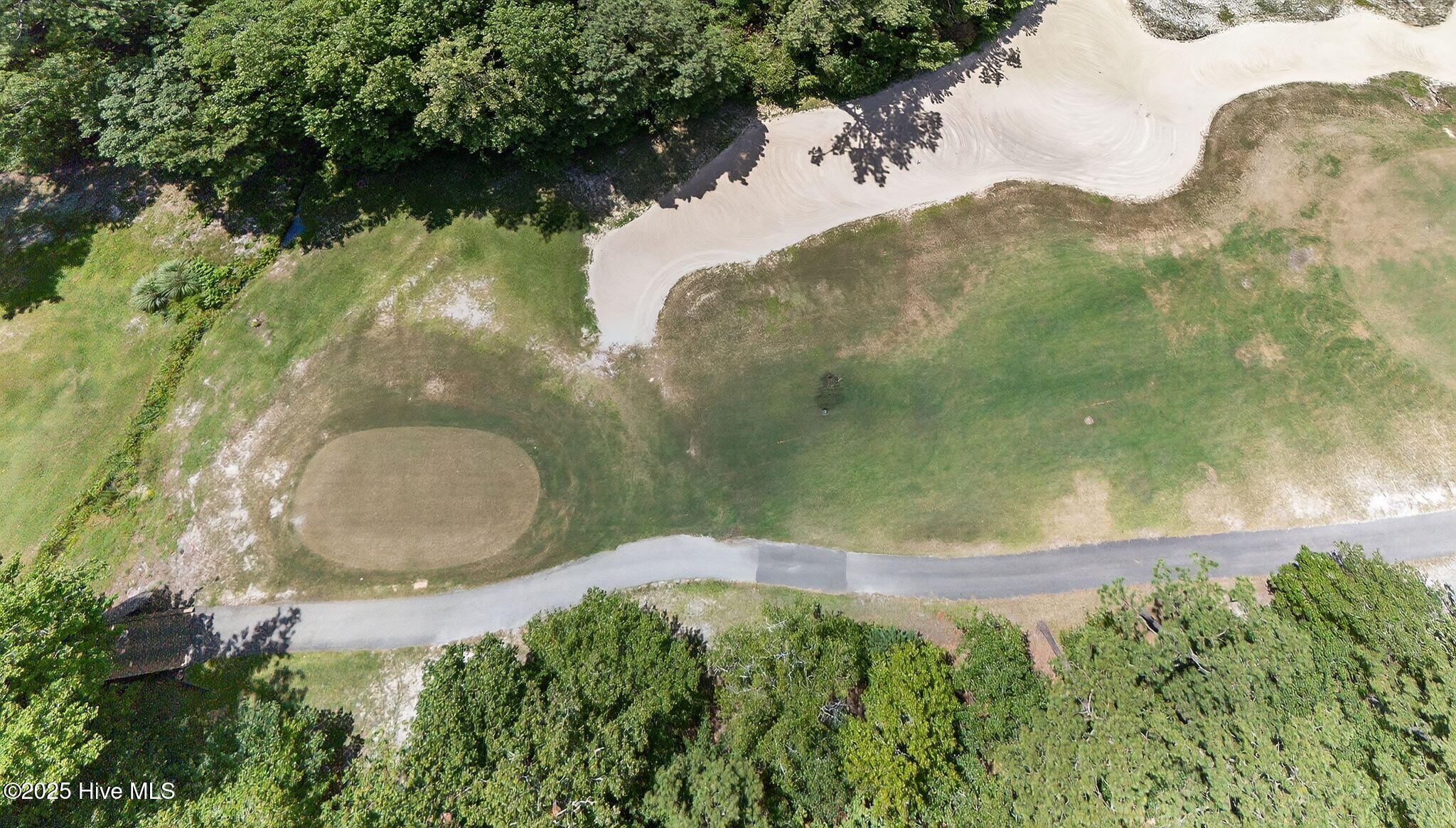 100519533 | Photo 24