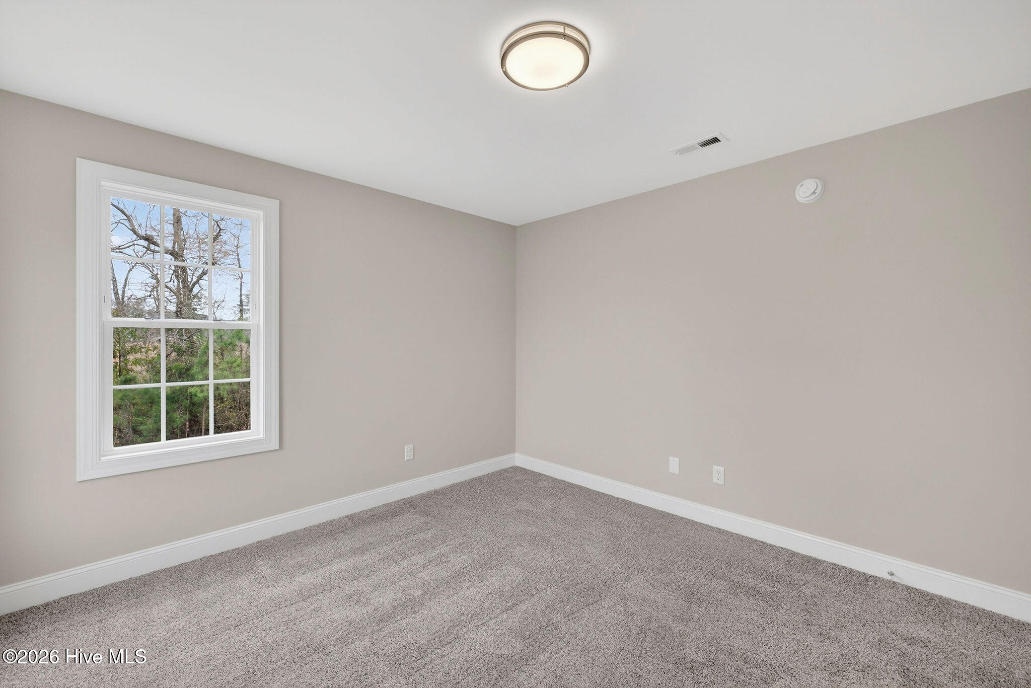 100548274 | Photo 24