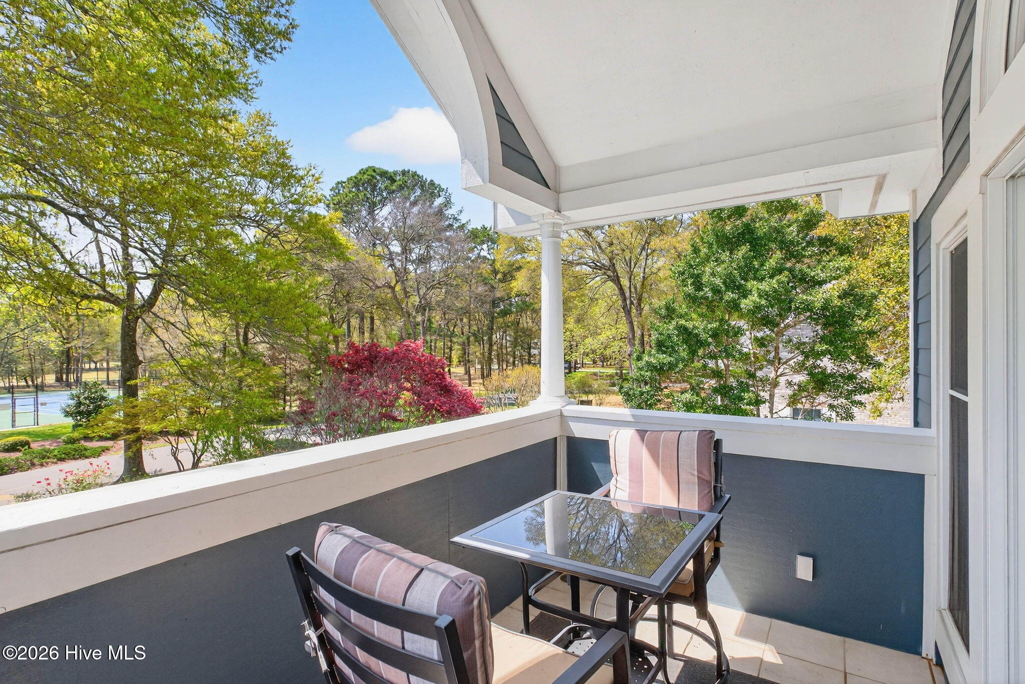 100564885 | Photo 64