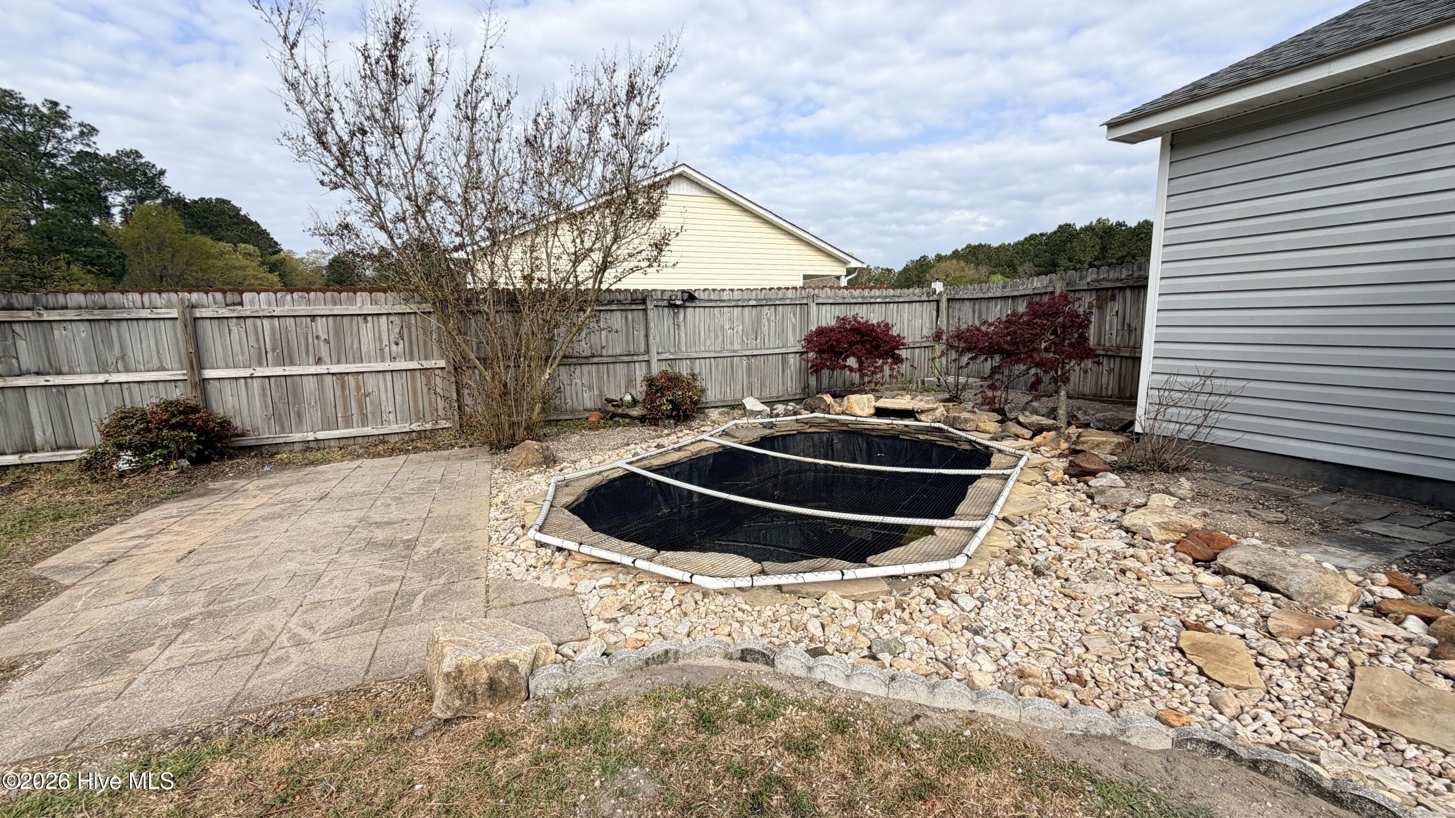 100557684 | Photo 23