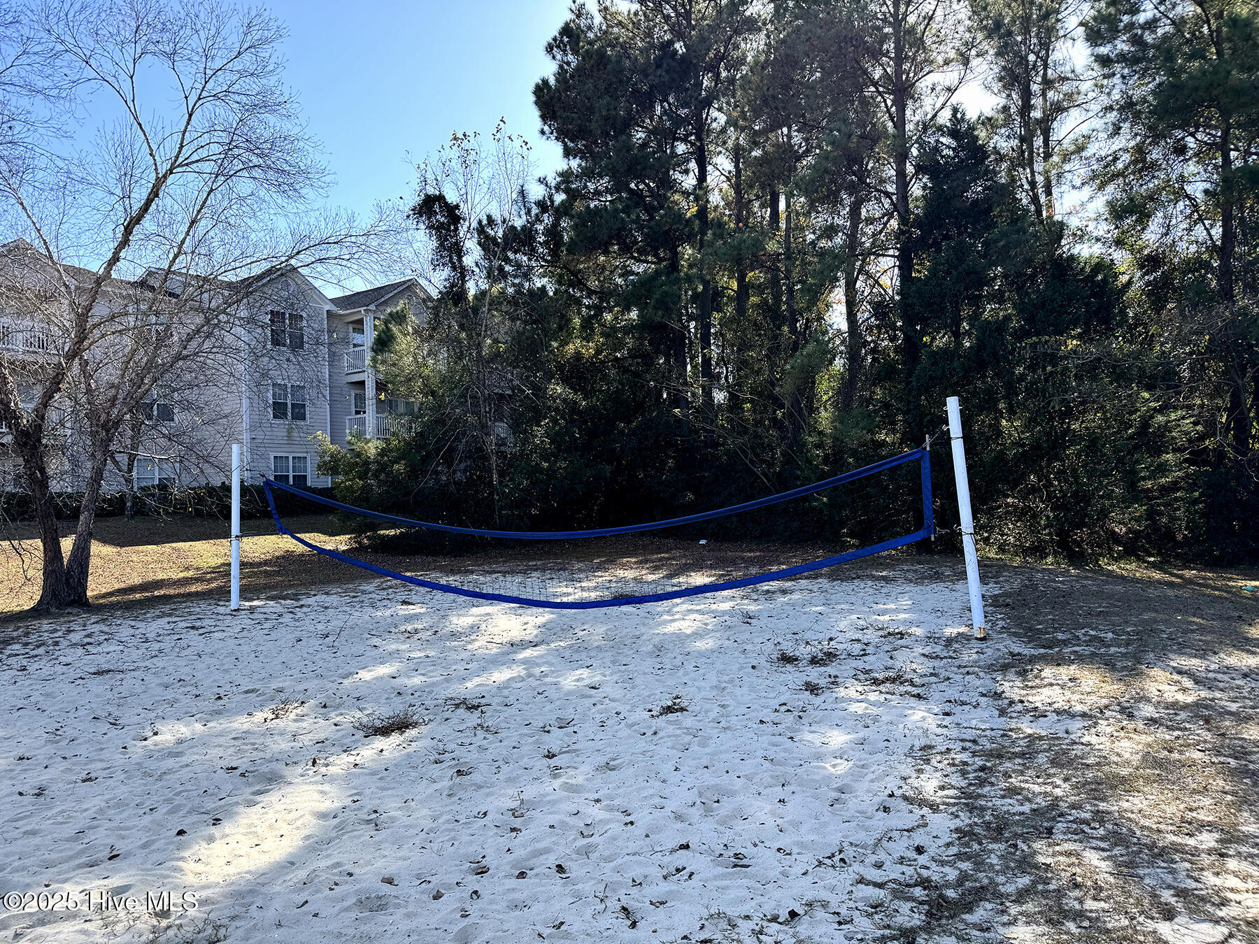 100541213 | Photo 16