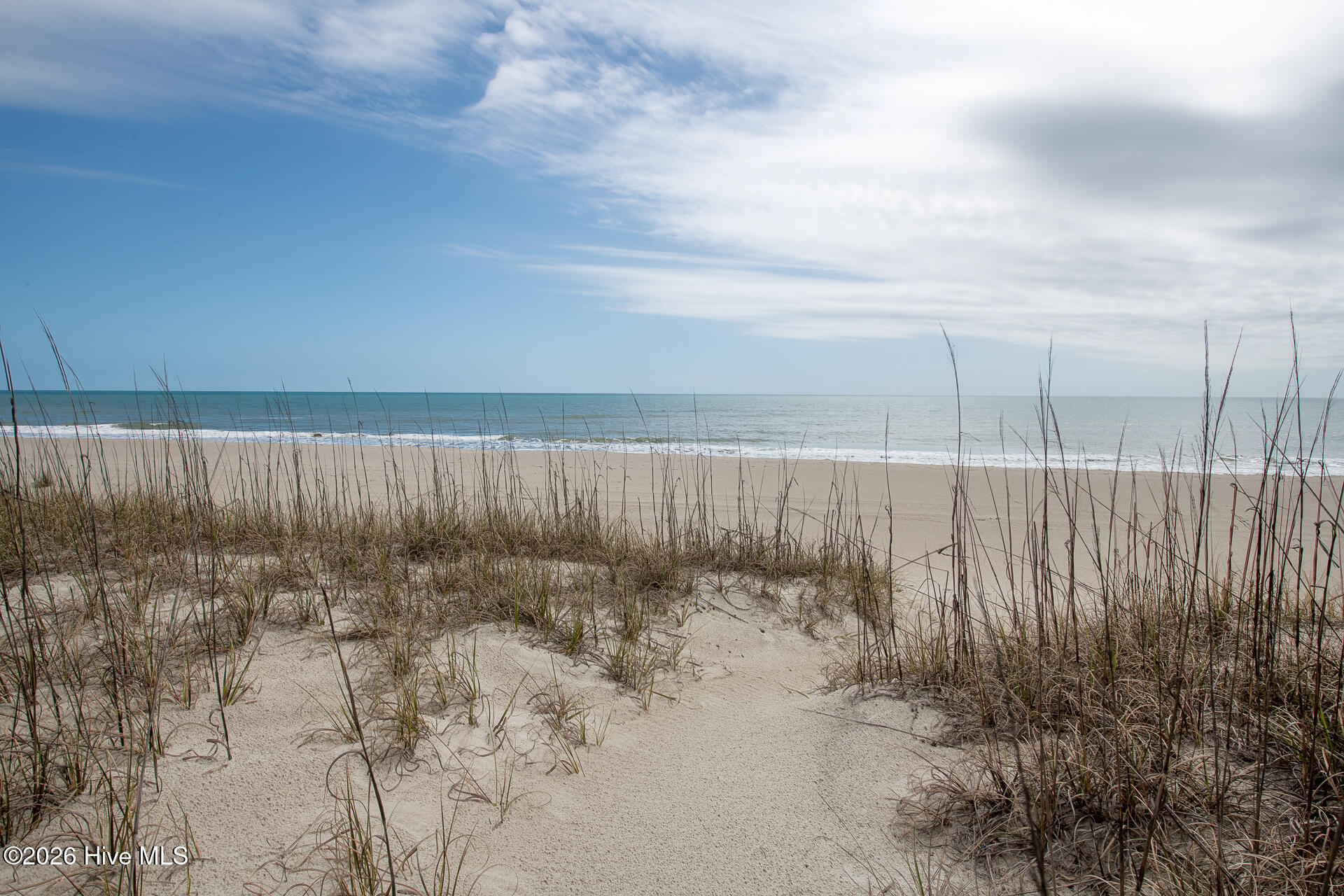 100560941 | Photo 38