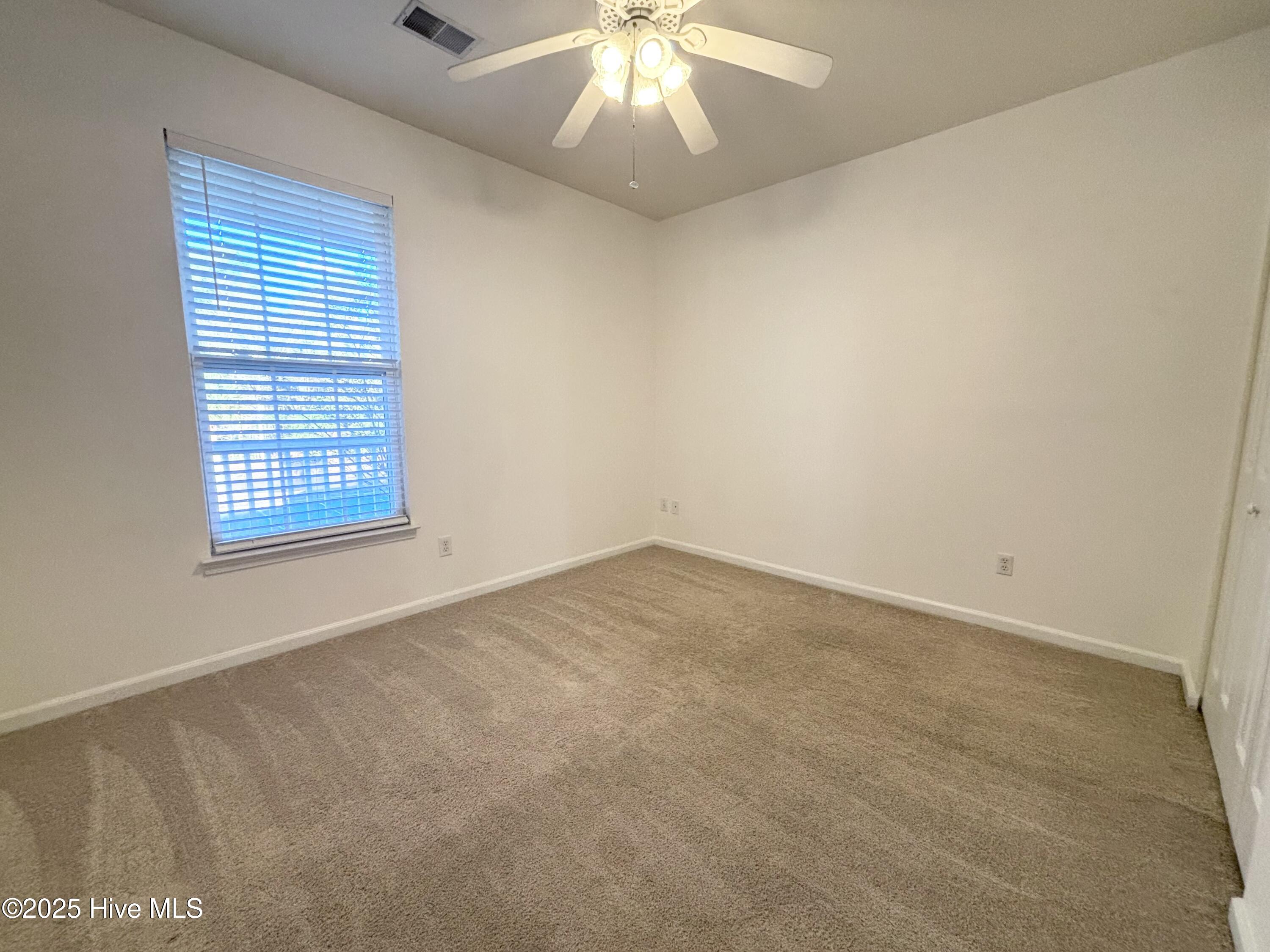 100520456 | Photo 18