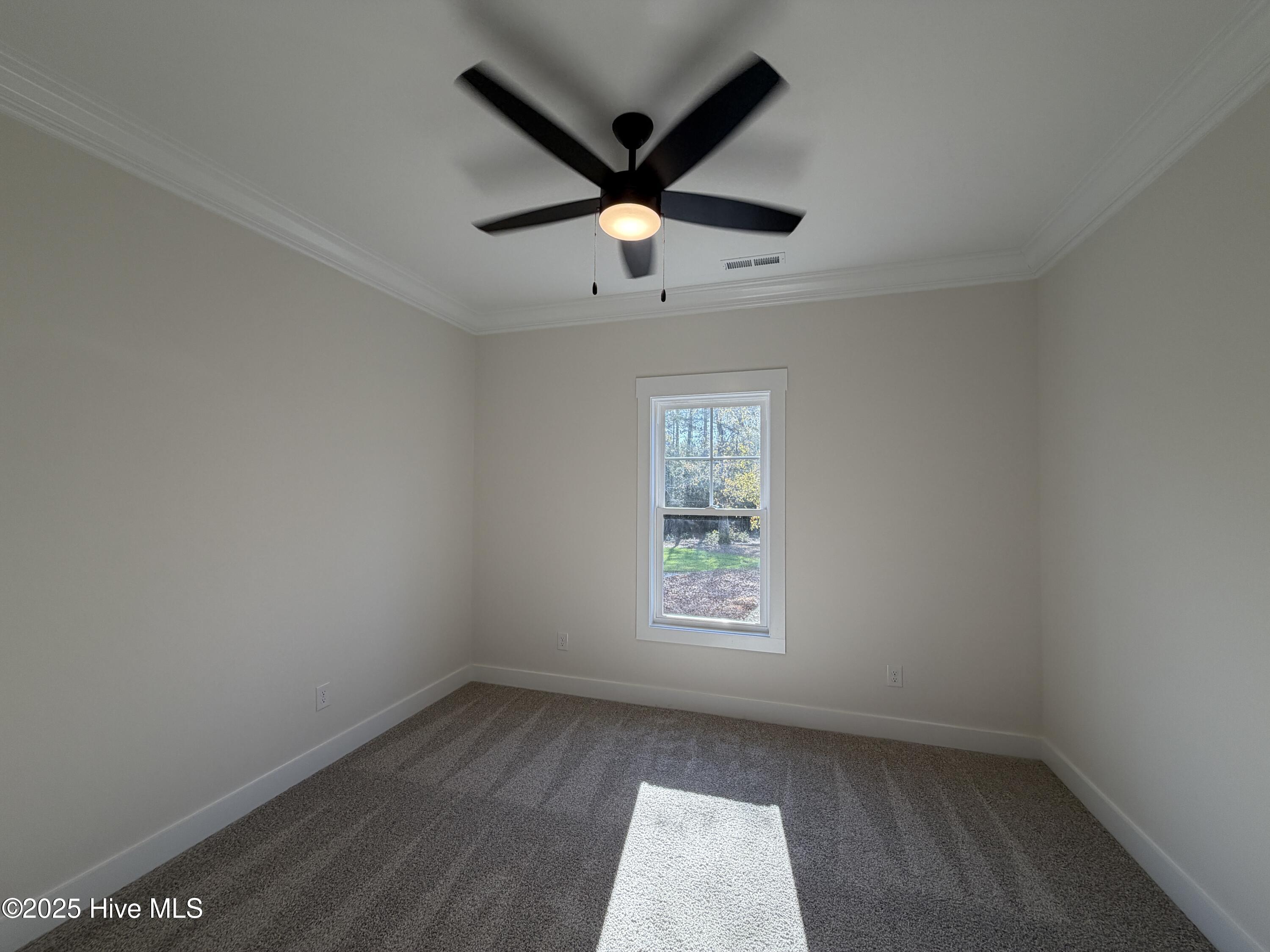 100500260 | Photo 16