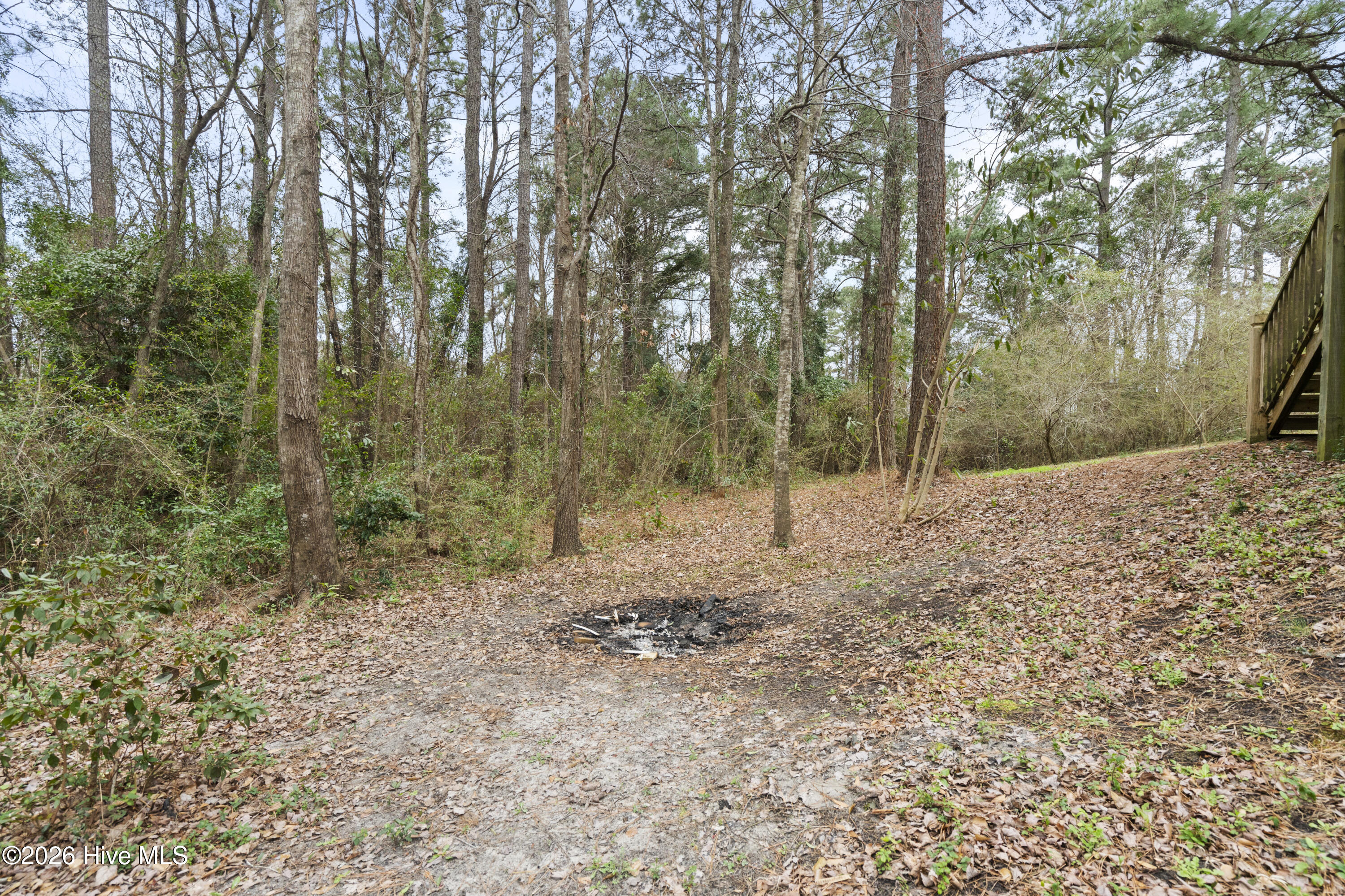 100557847 | Photo 37