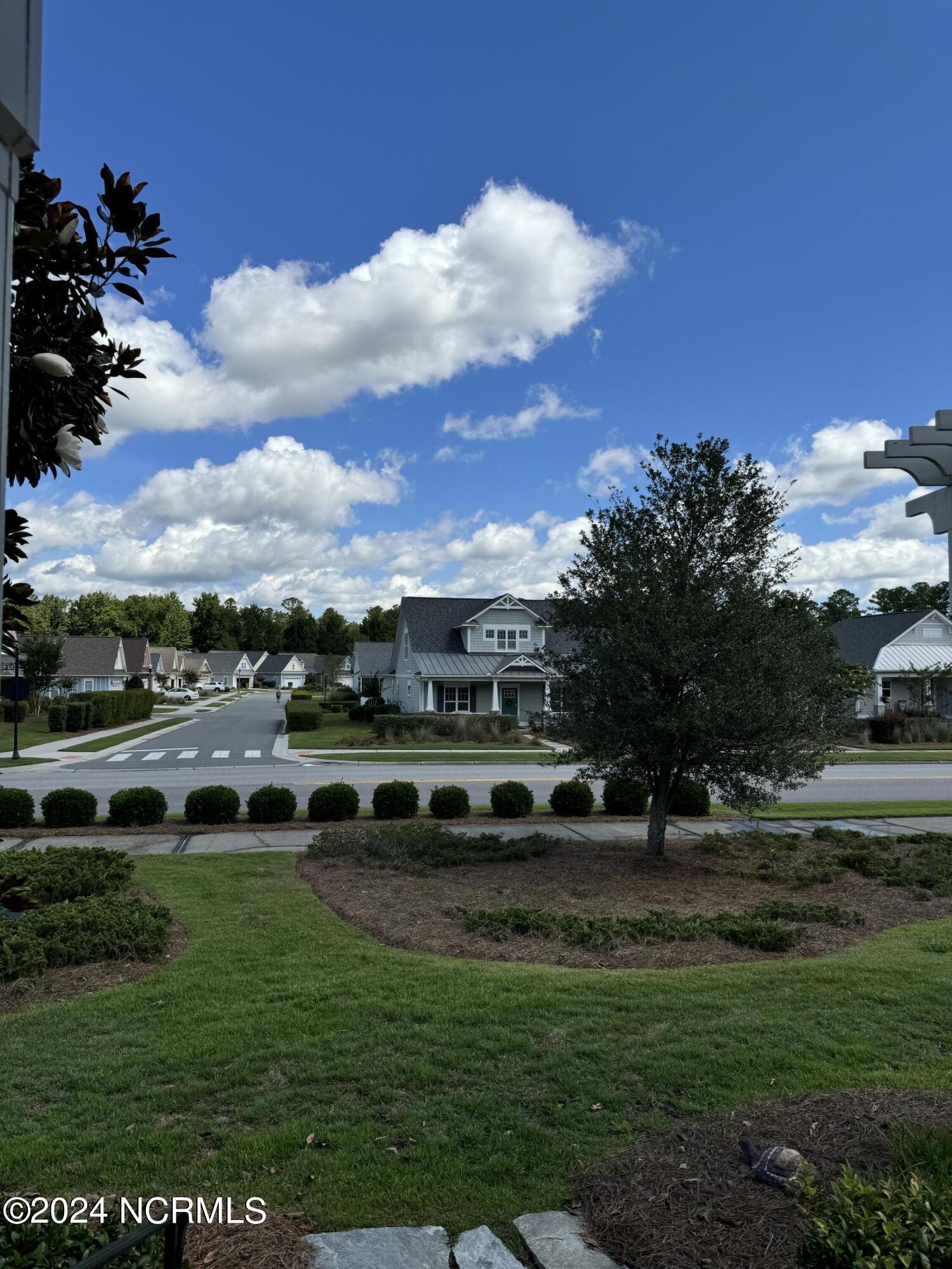 100555381 | Photo 34