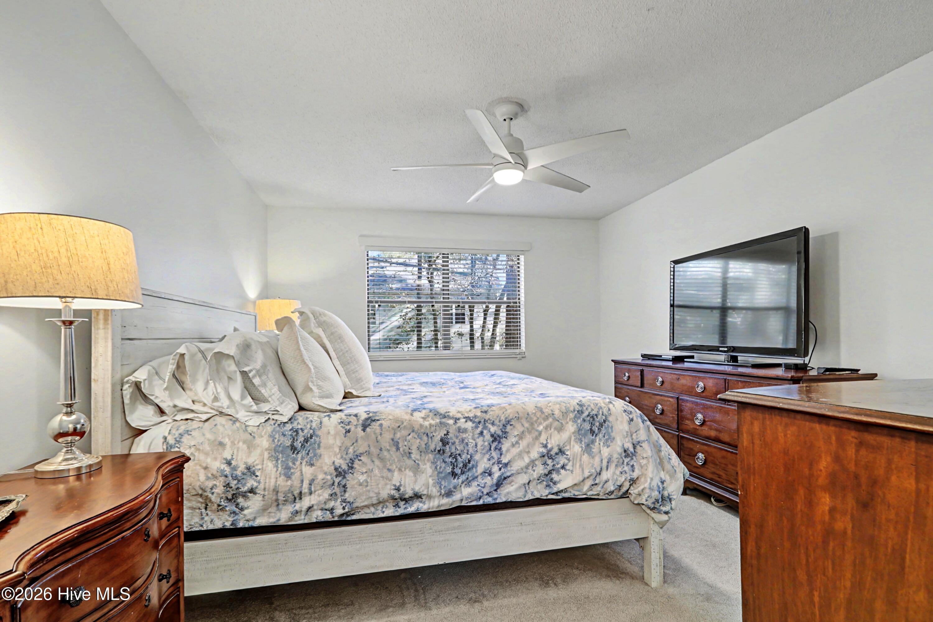 100553019 | Photo 20