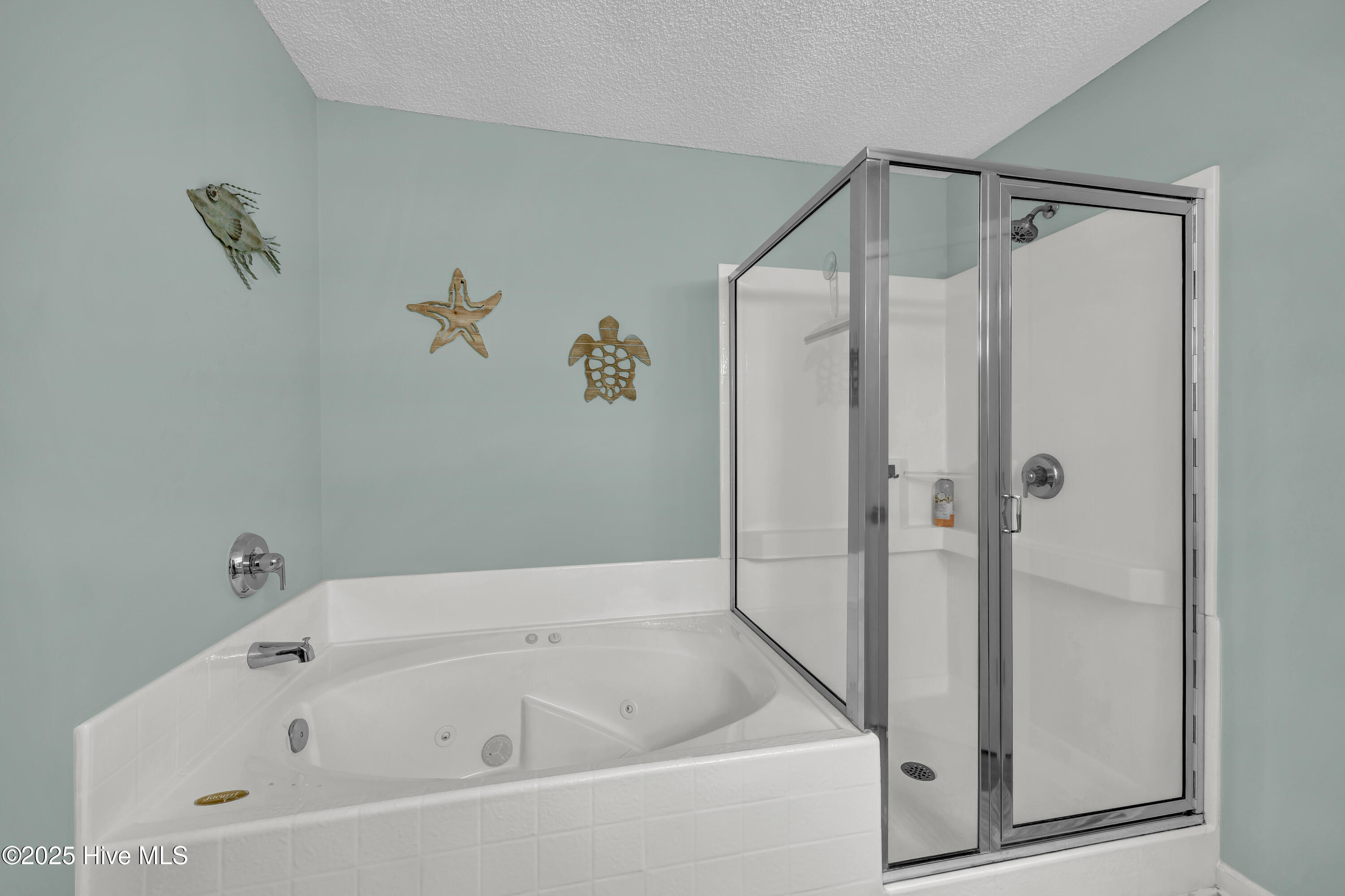 100539920 | Photo 10