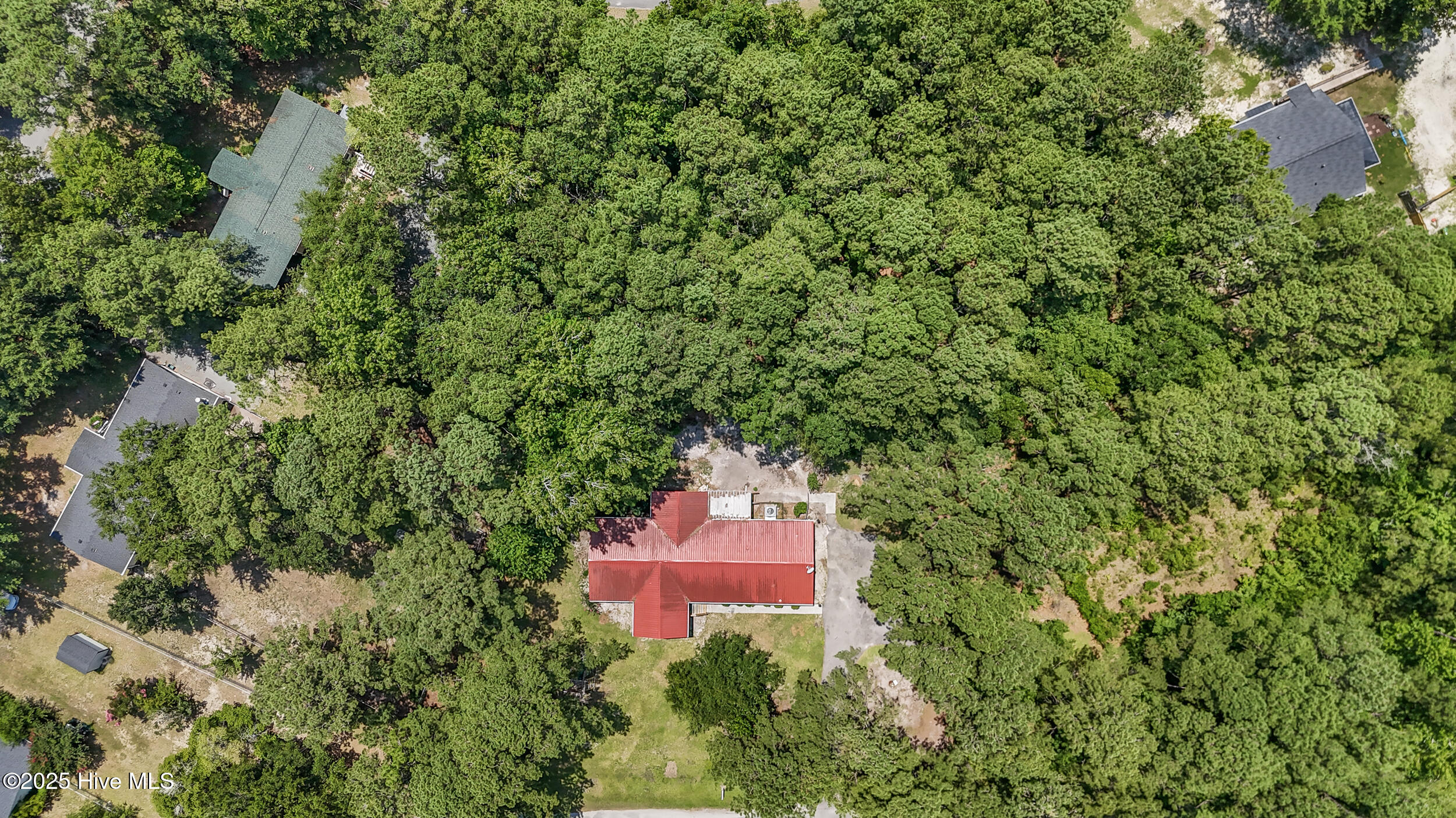 100515334 | Photo 49