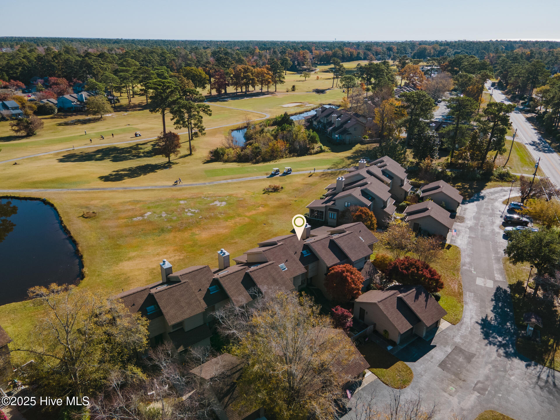 100526390 | Photo 63