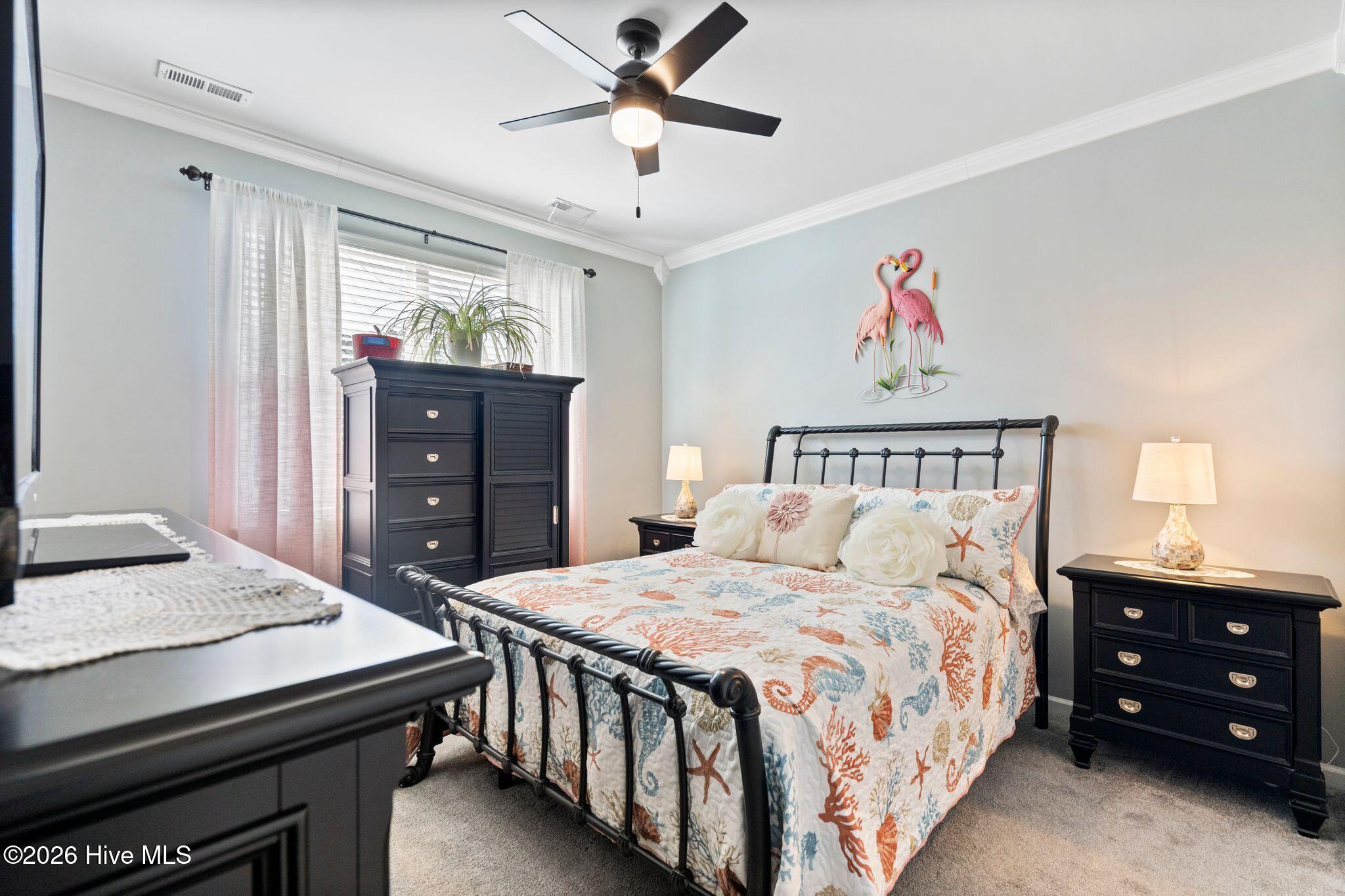 100550283 | Photo 31