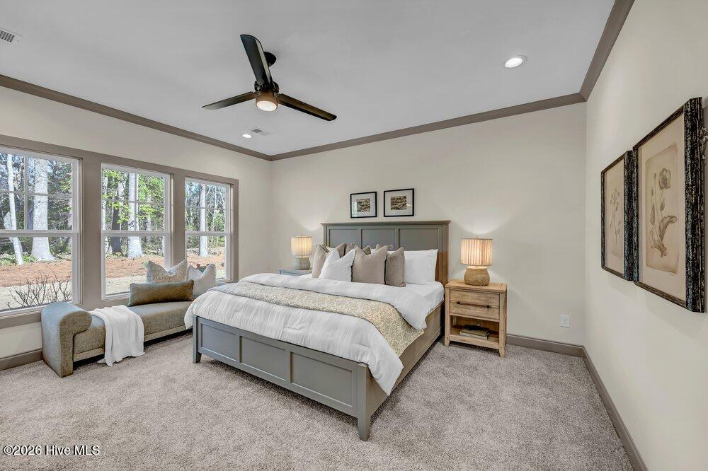 100559132 | Photo 14