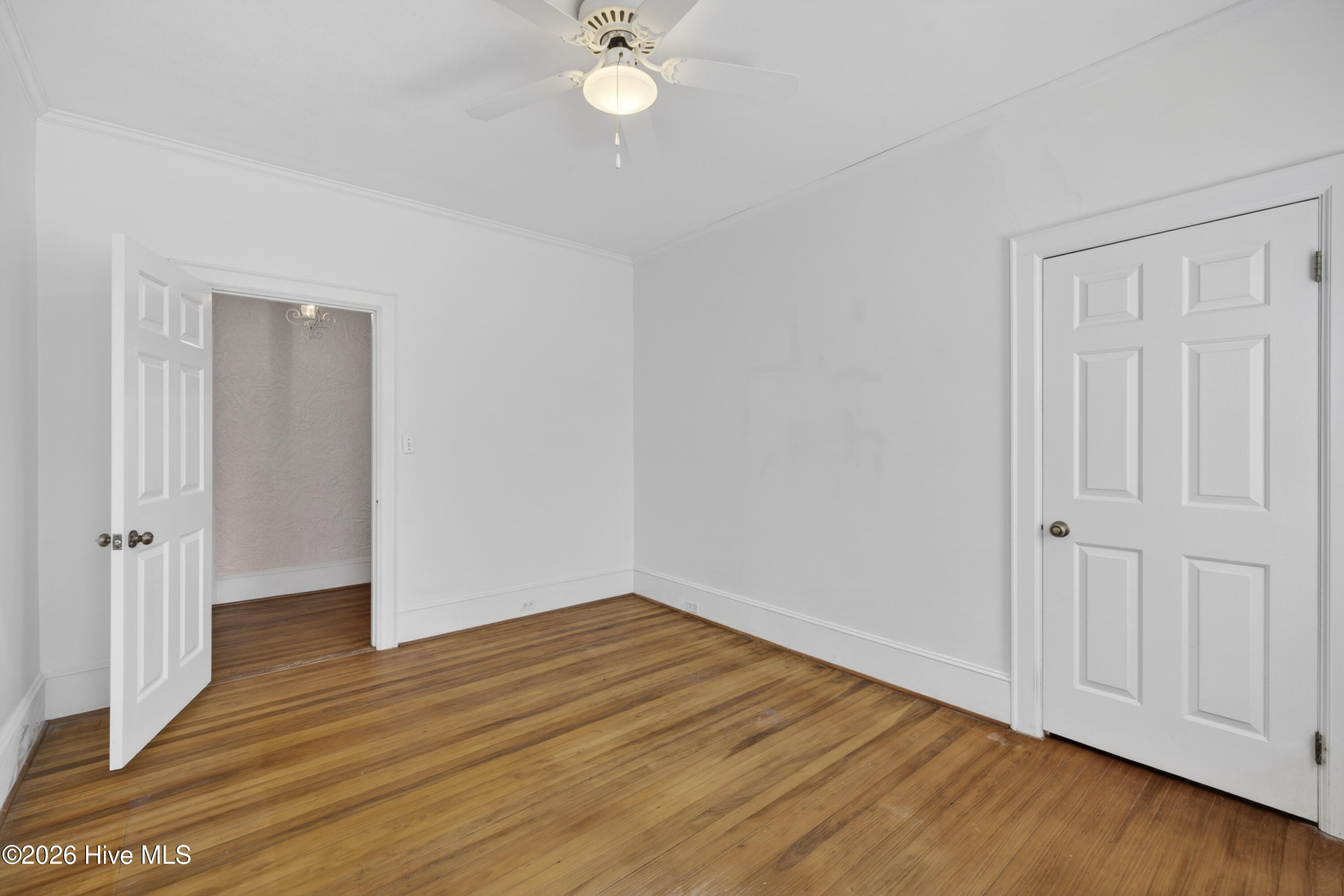 100540787 | Photo 19