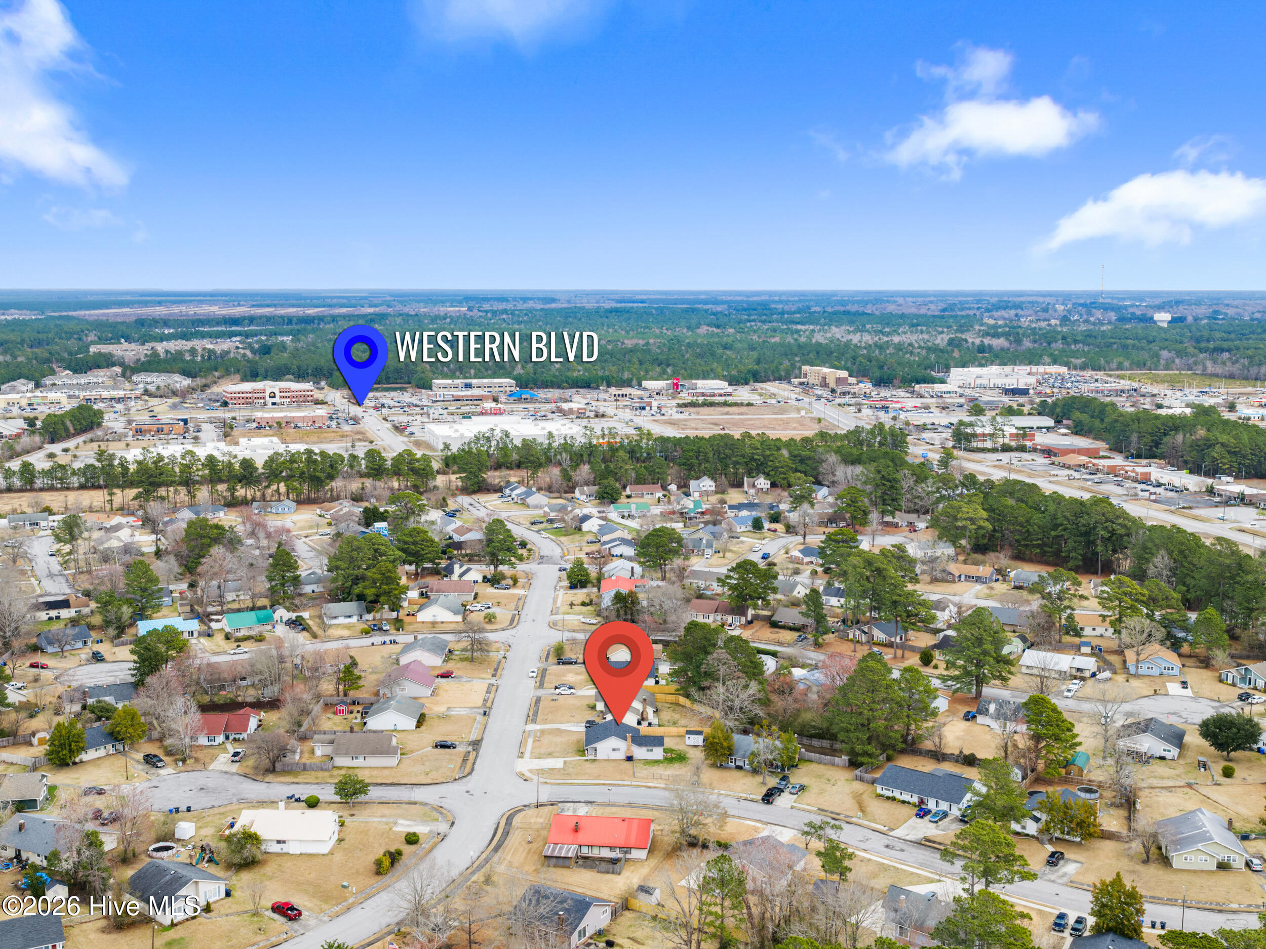 100556256 | Photo 38