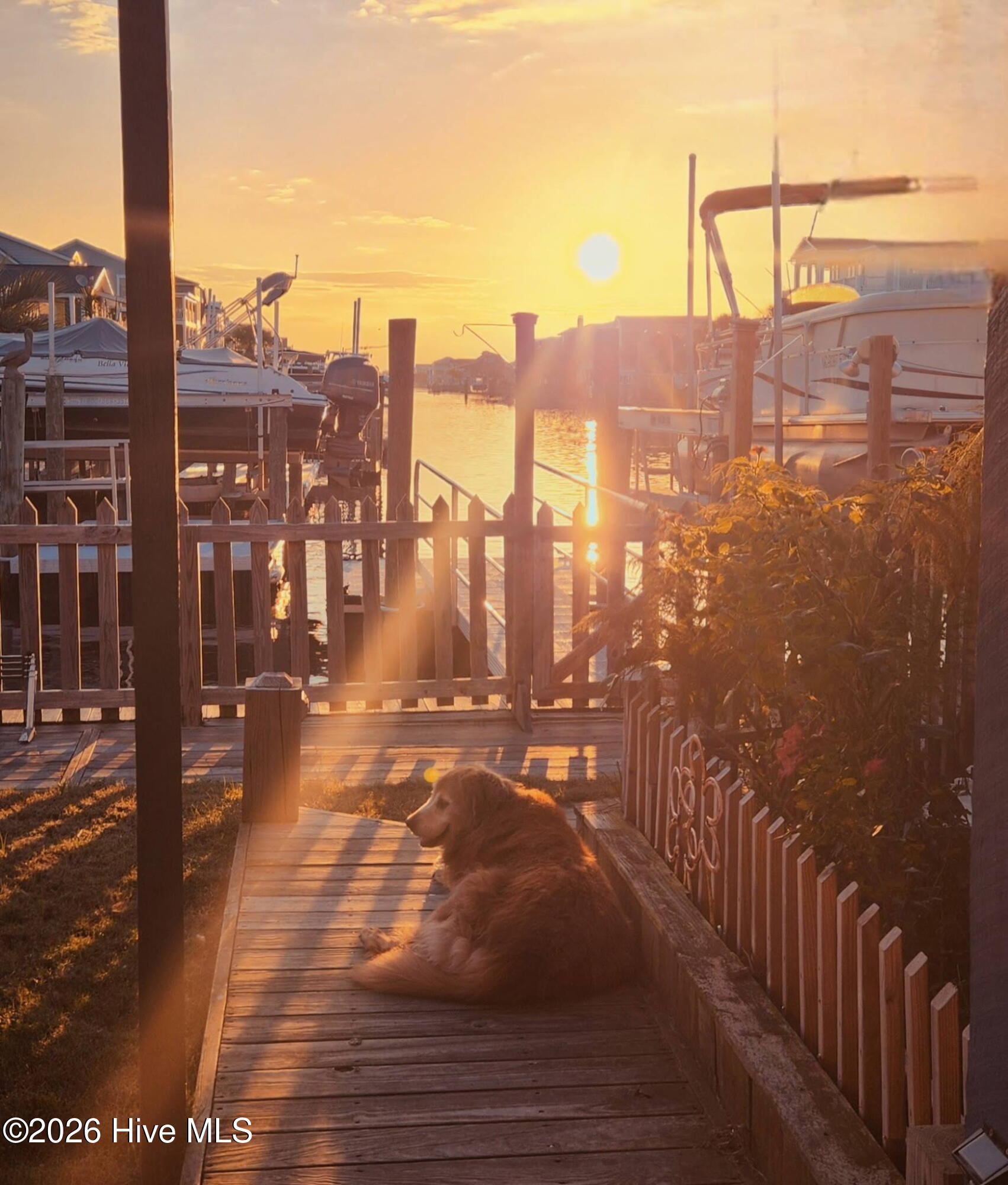 100545181 | Photo 52