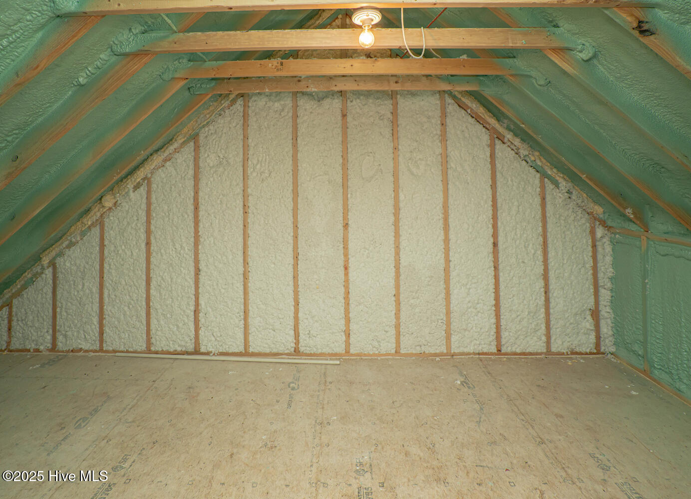 100558070 | Photo 45