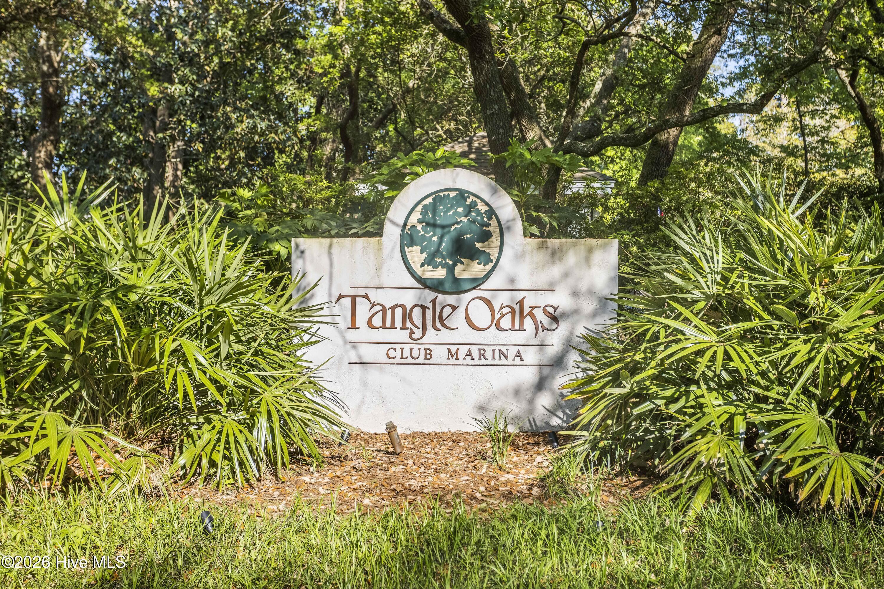 100553448 | Photo 68