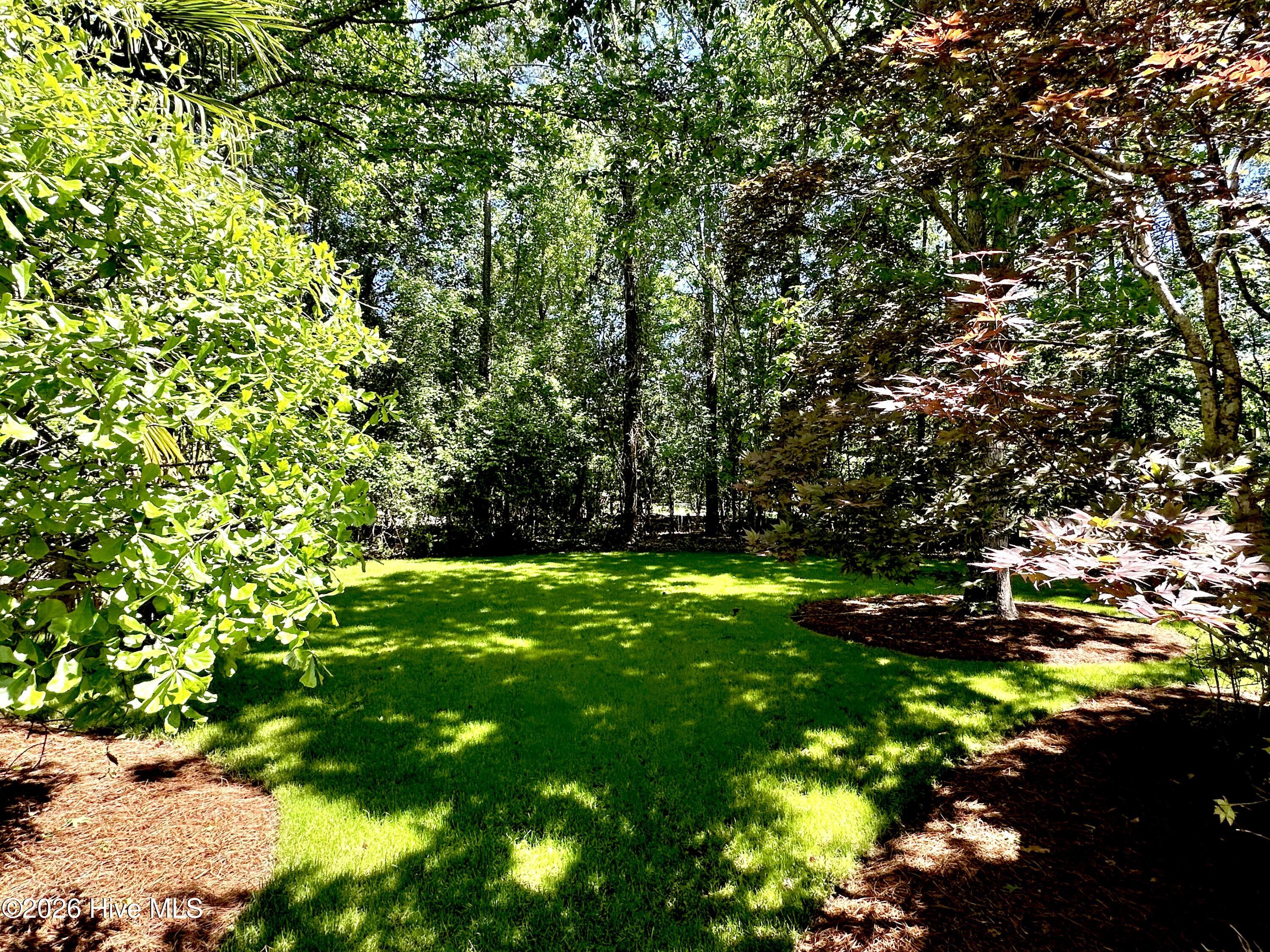 100569469 | Photo 11