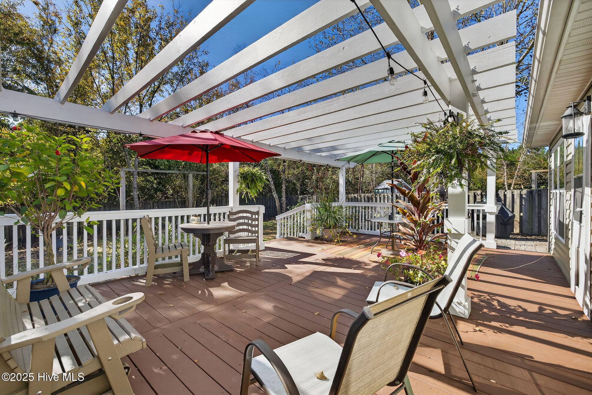 100539935 | Photo 31