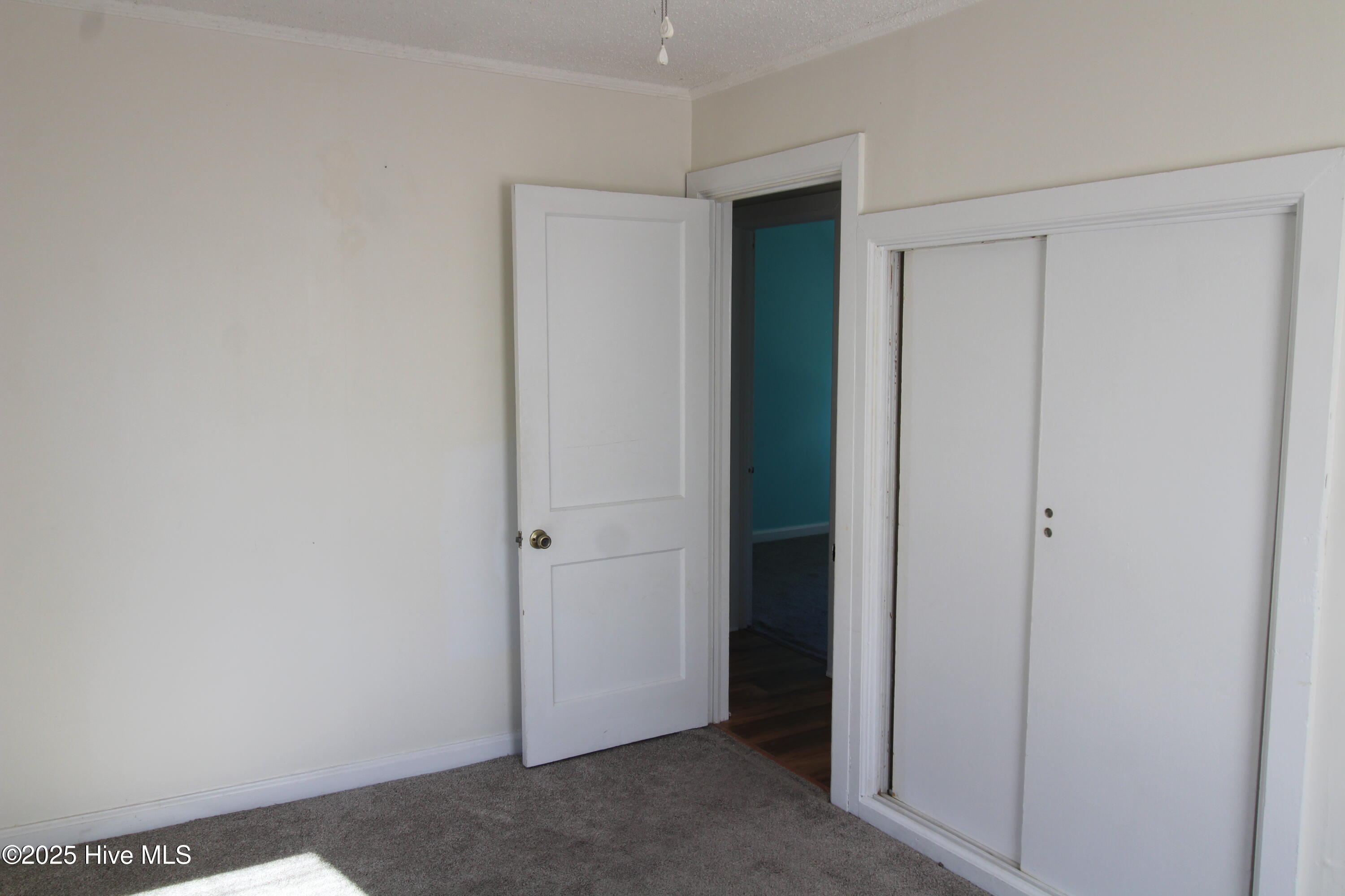 100539657 | Photo 13