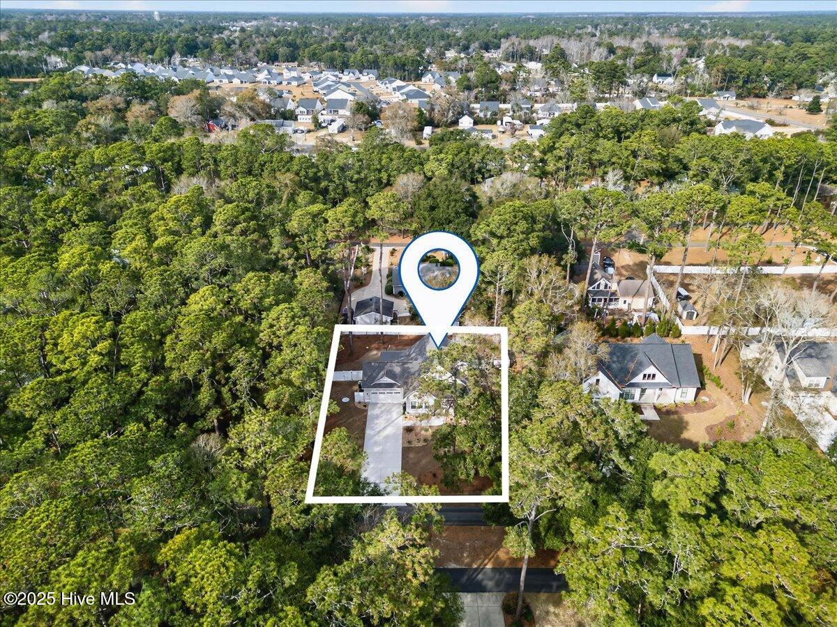 100546155 | Photo 51