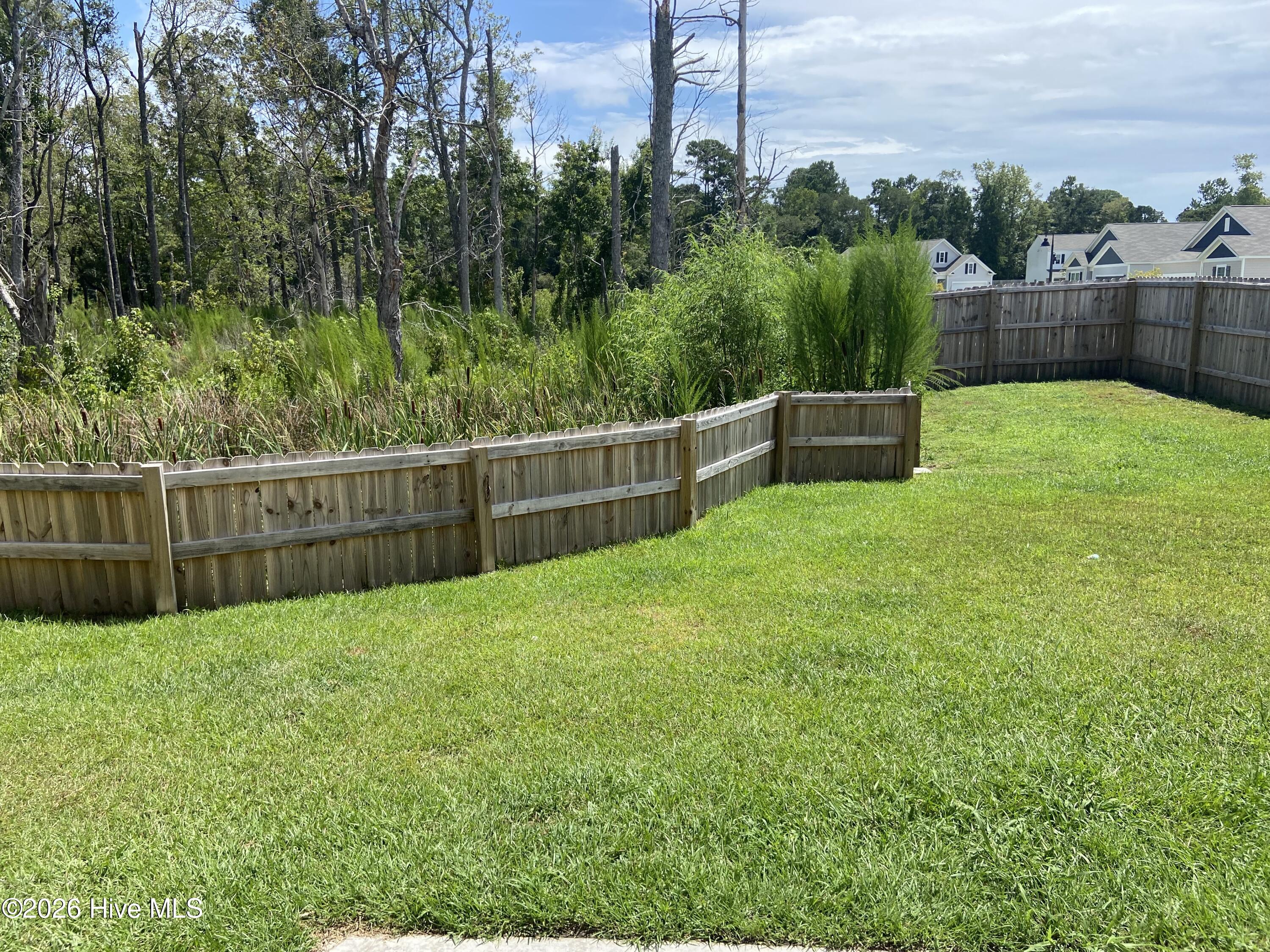 100561980 | Photo 17